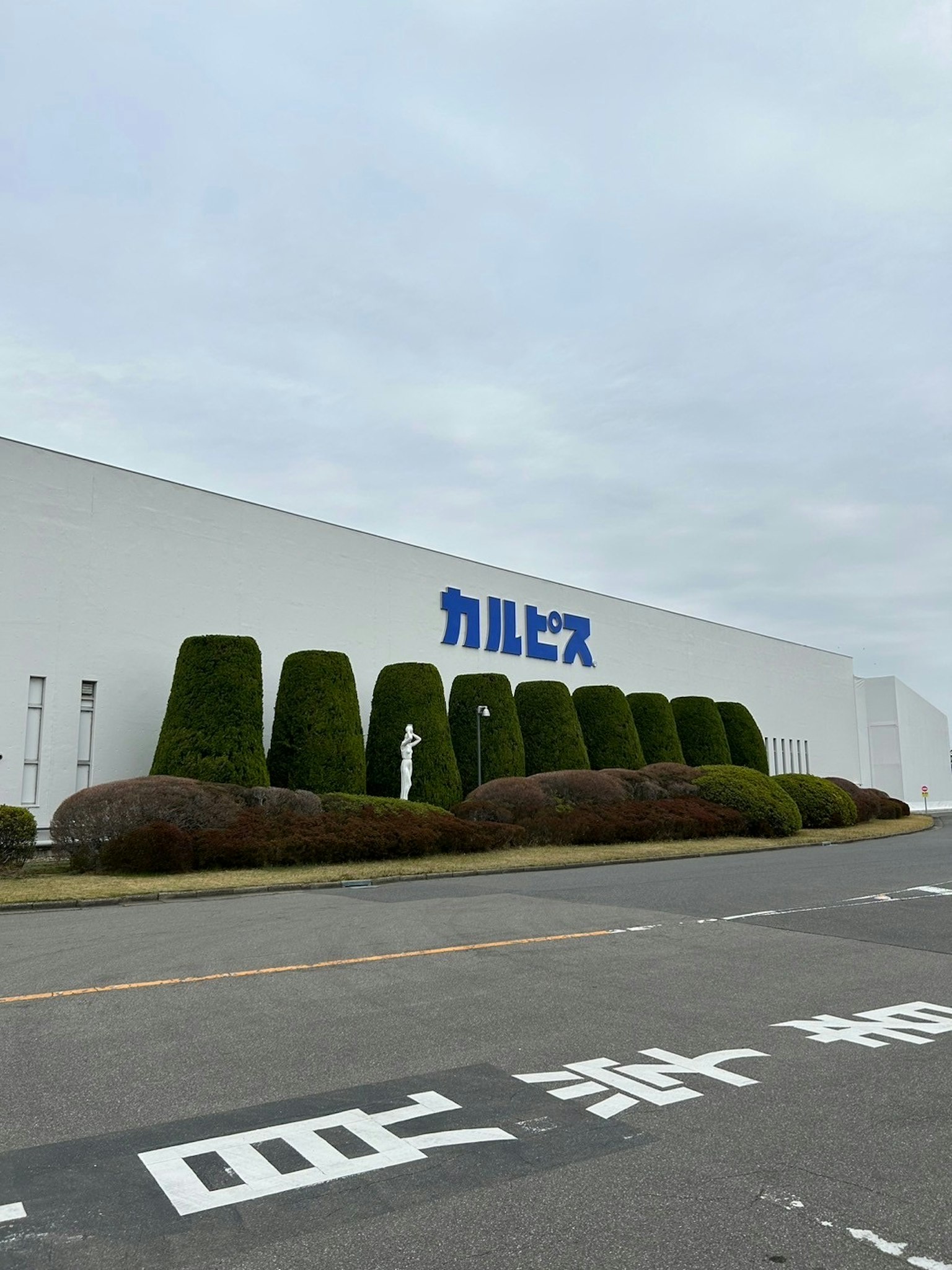 Calpis white building with neatly trimmed green hedges