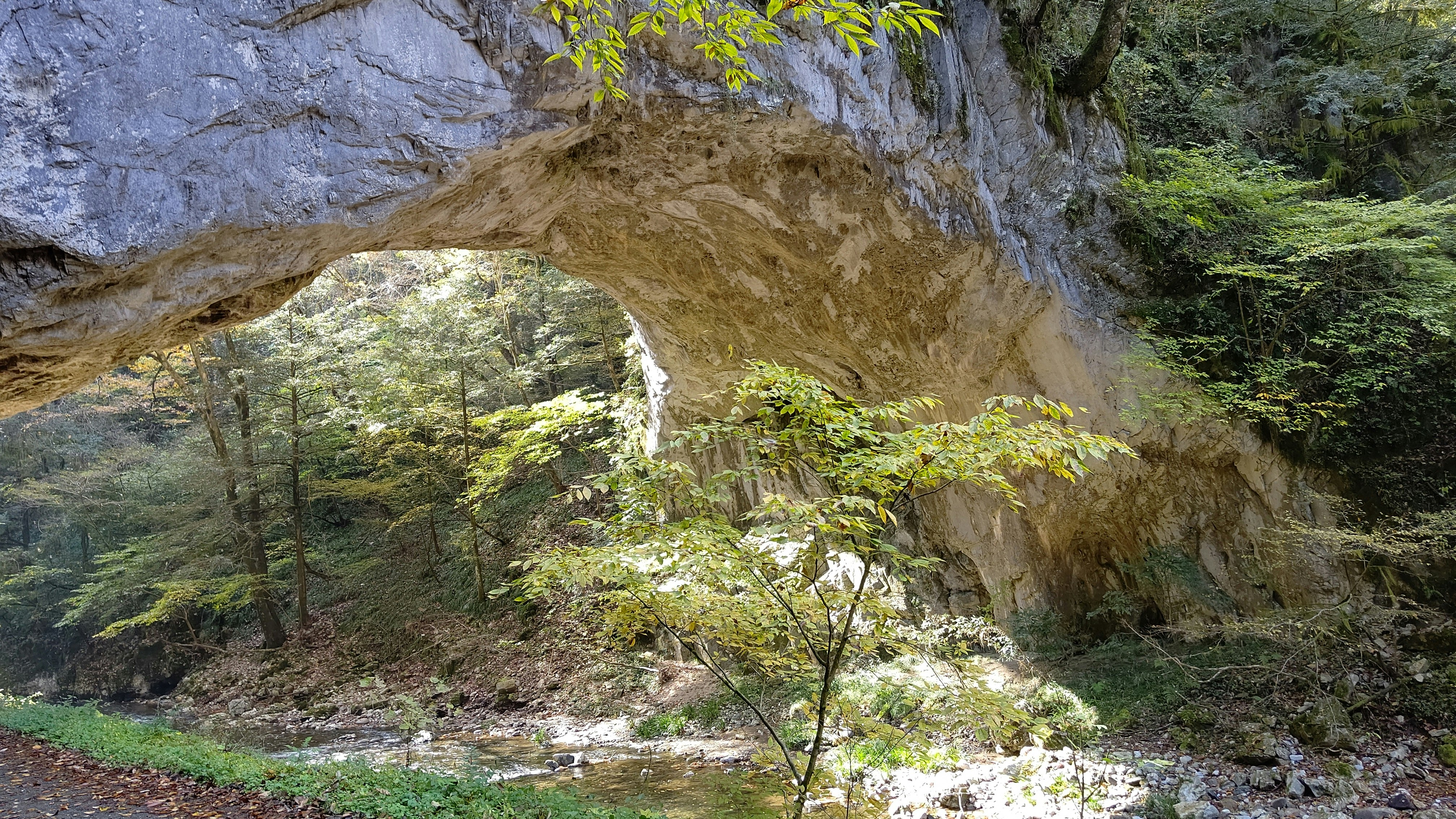帝釈峡の岩壁にかかる自然のアーチ状の洞門と渓流