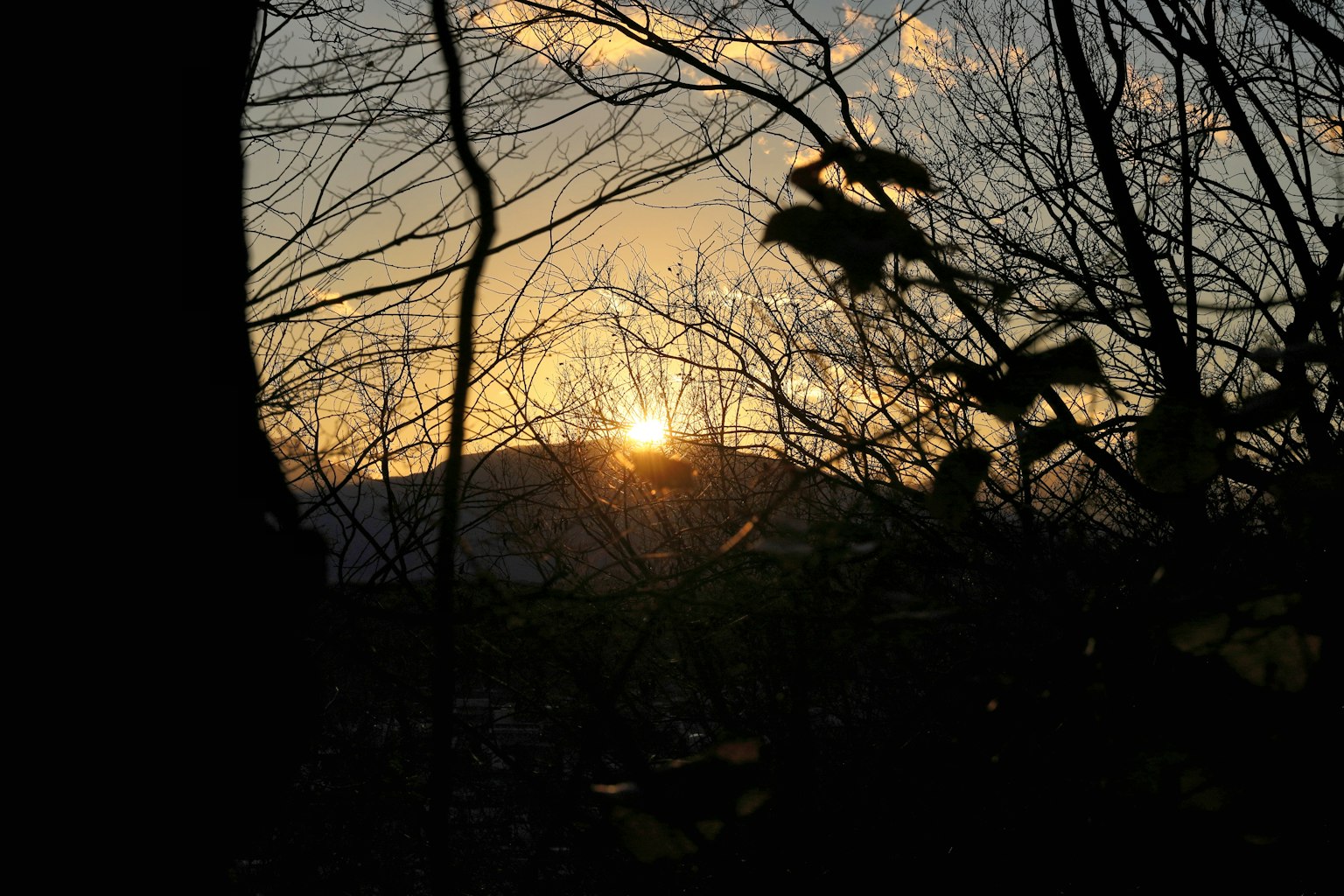 photo-wMC8MyjnVSQ1bRyk8B6L-image