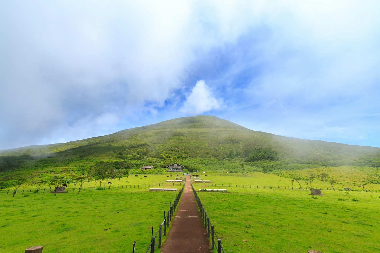 Pathway leading to a lush green mountain under a cloudy sky