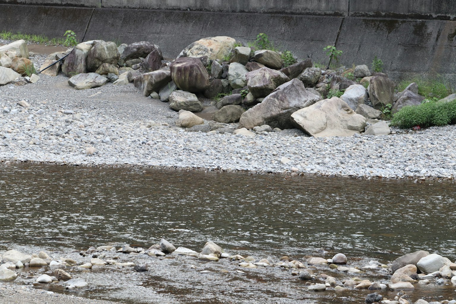 Calm river flow with scattered stones along the riverbank
