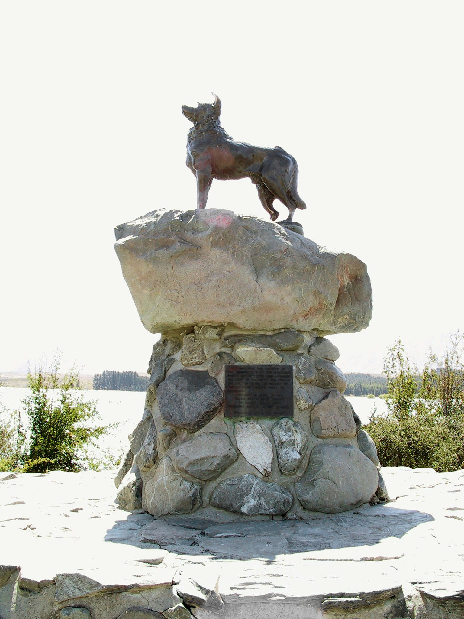 Una statua di bronzo di un cane che si erge su una grande base di pietra