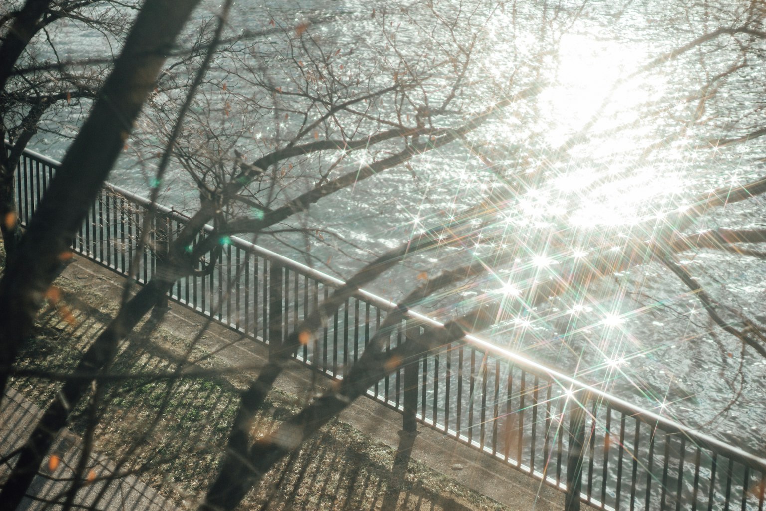 Vista sul fiume con riflessi di luce e ombre degli alberi