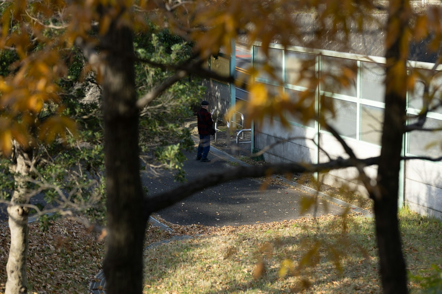 가을 잎으로 둘러싸인 건물 근처에 서 있는 사람