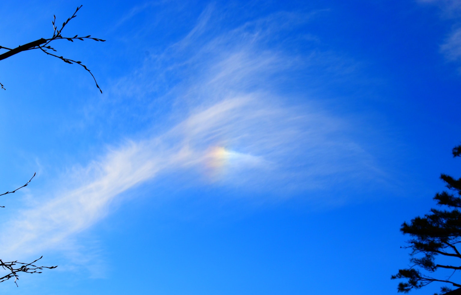 Regenbogenfarbige Wolke am blauen Himmel mit Baumsilhouetten