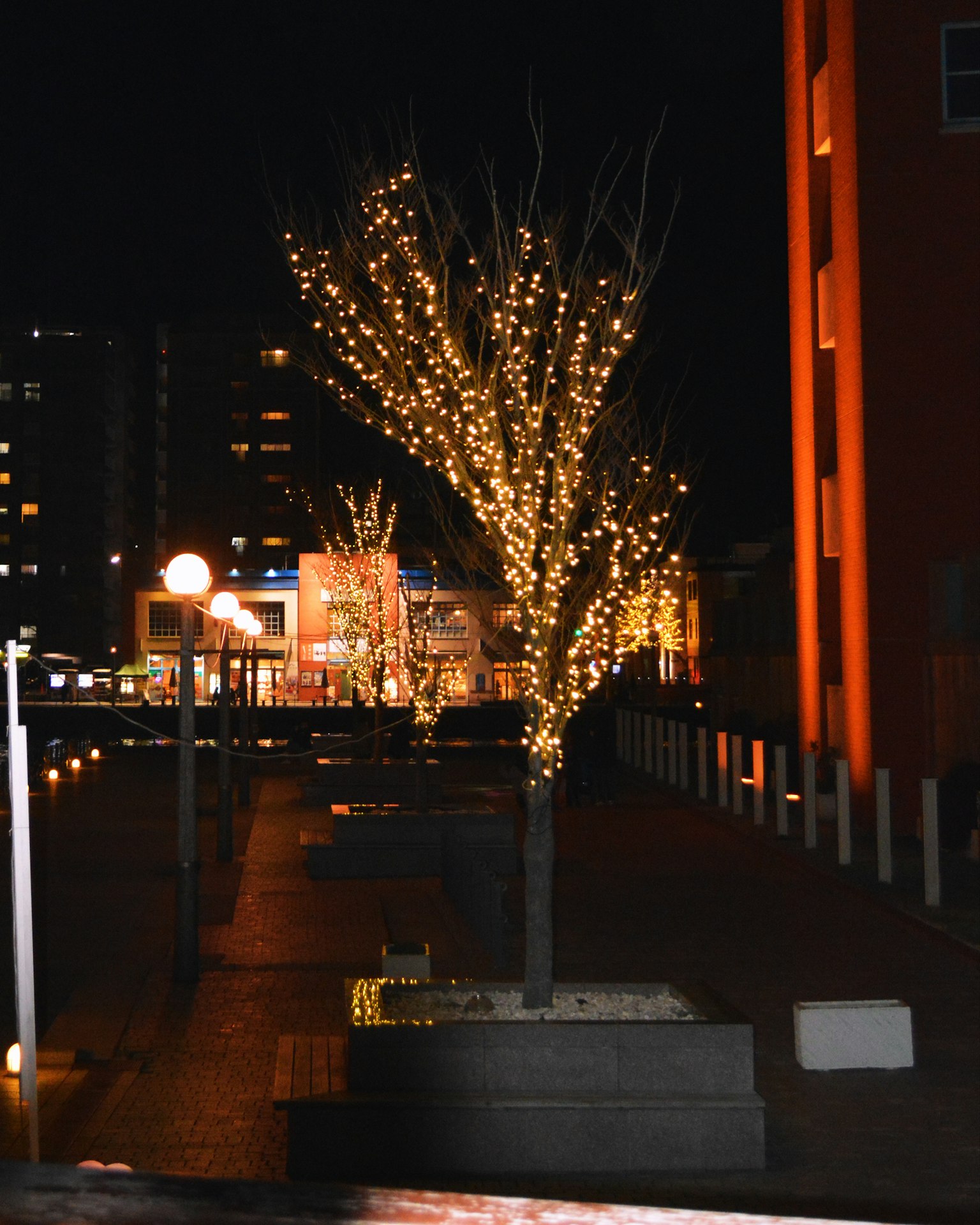 Árboles iluminados en un vibrante entorno urbano por la noche