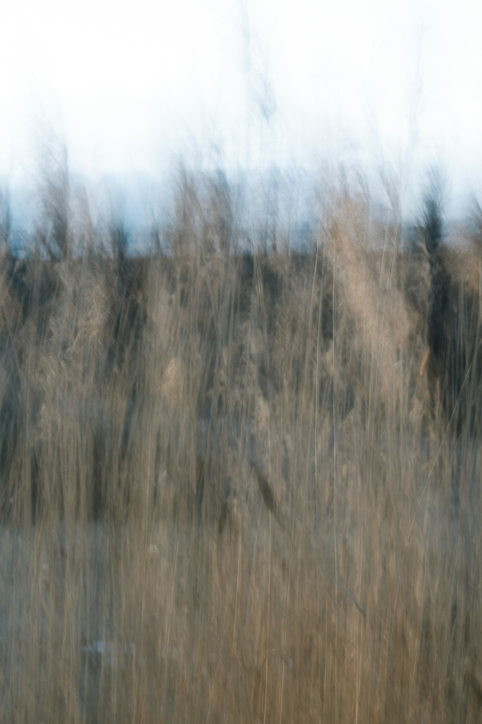 Blurred landscape of grass with soft sky hues