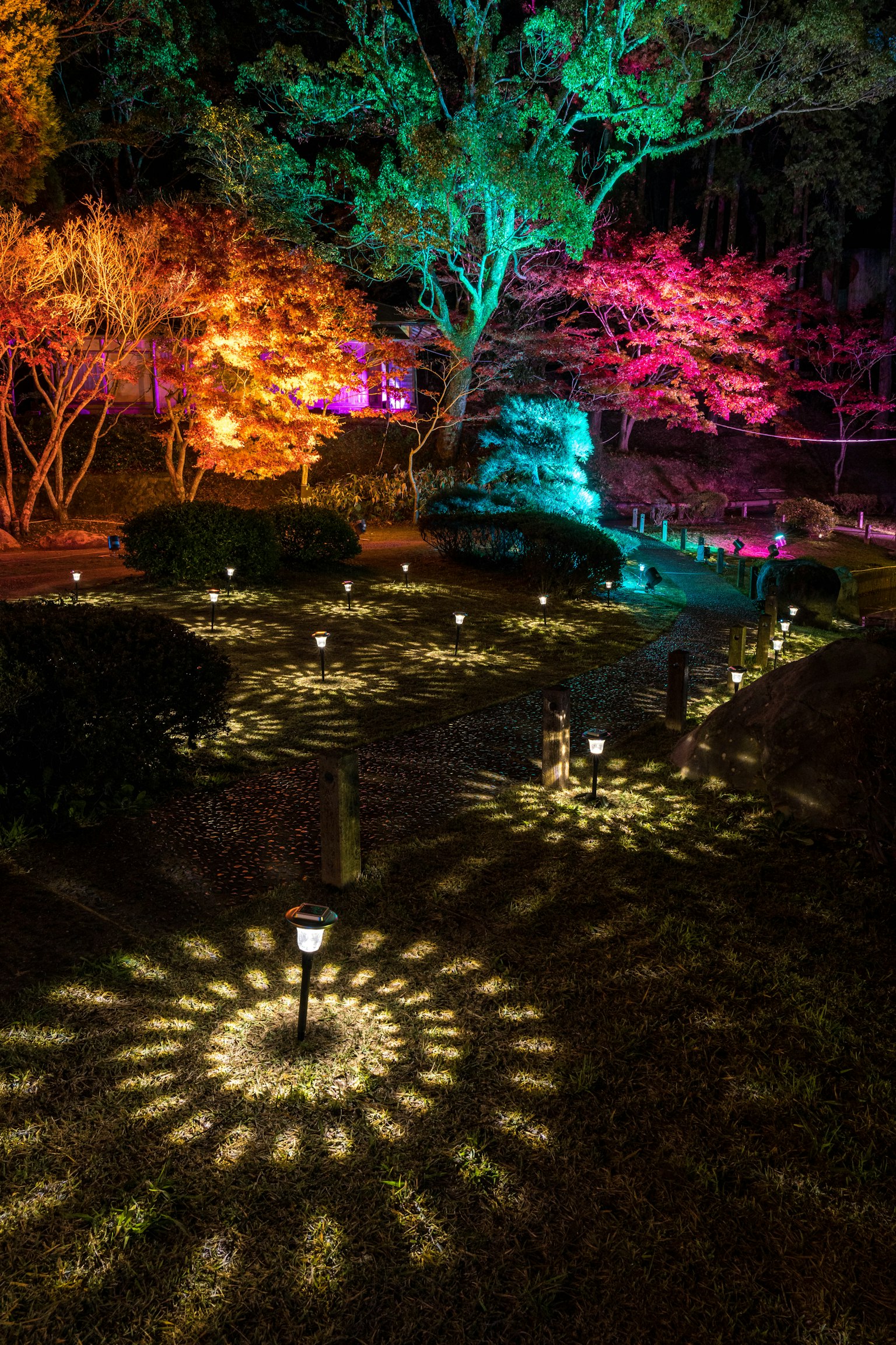 Scène de parc illuminée colorée avec des arbres vibrants et des motifs de lumière complexes