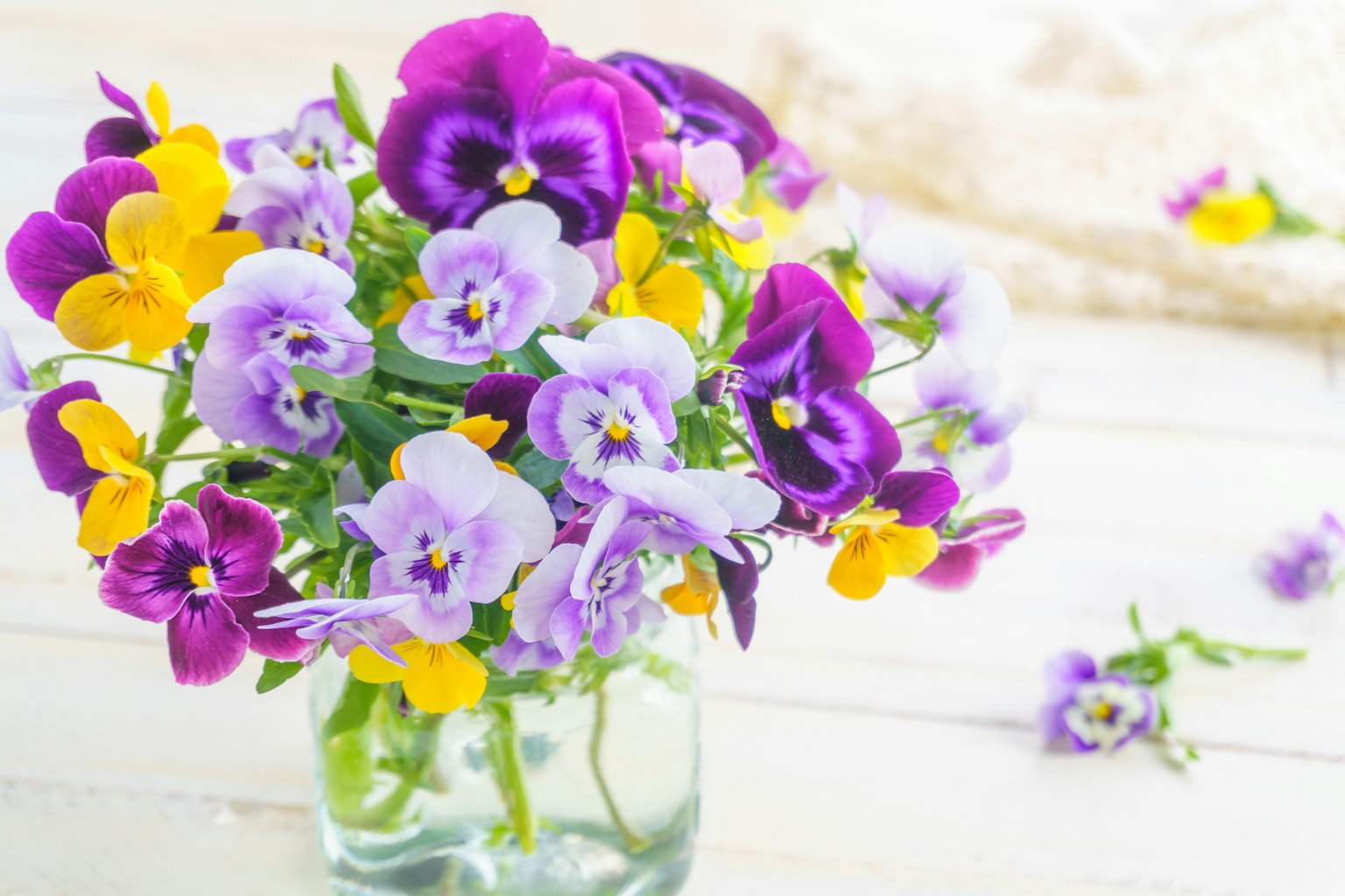 Un mazzo di violette e gialle in un vaso di vetro trasparente