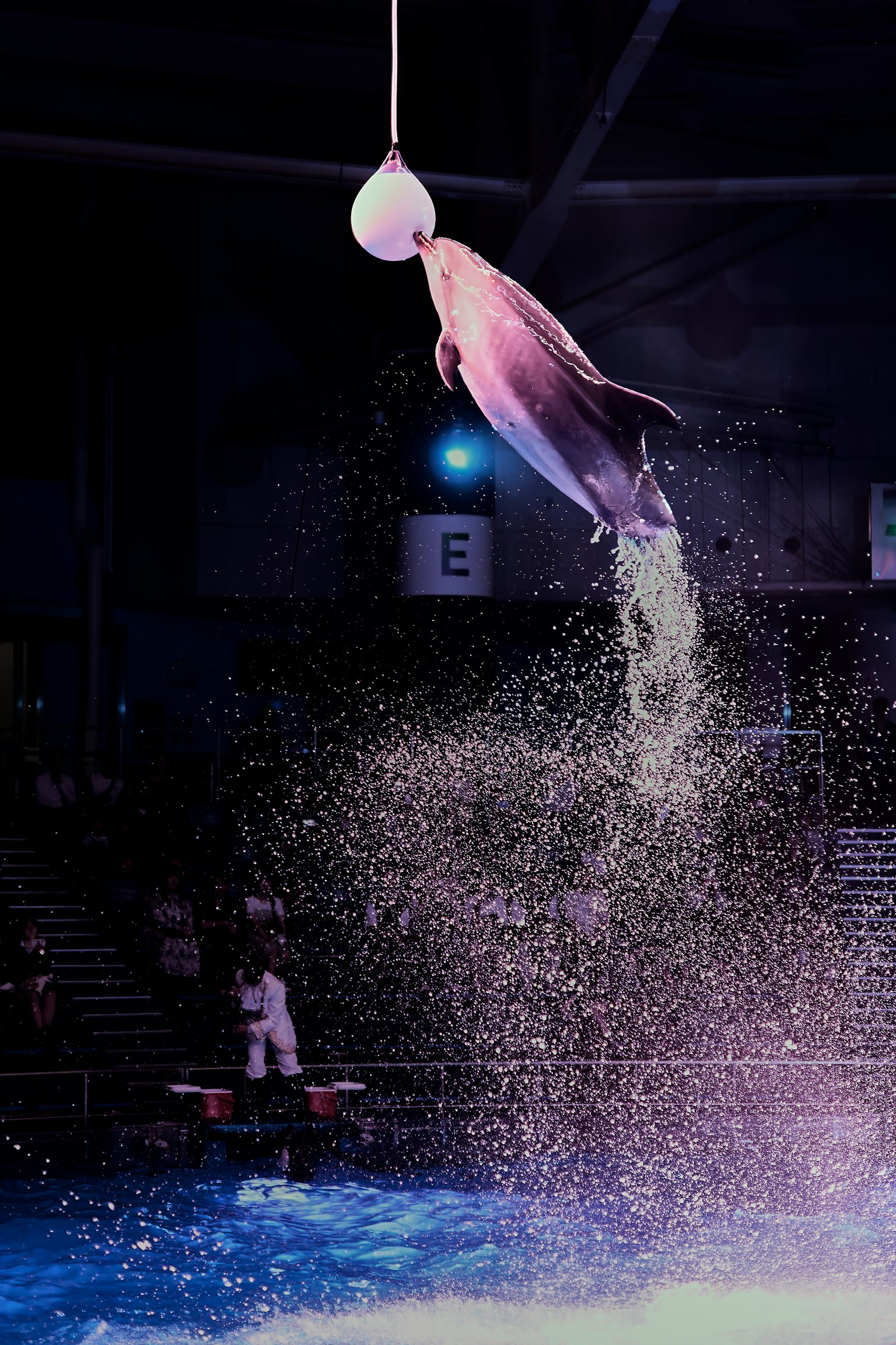 photo-wQ4Ir6slnOdLZjmIpYEd-image