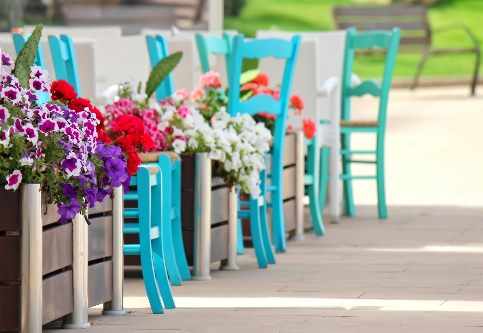 Colorful flowers in planters alongside turquoise chairs