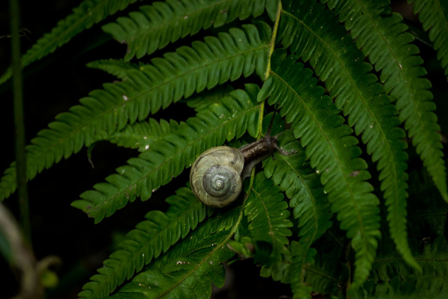 photo-wQwL0KnqL3hiO60ae6SV-image