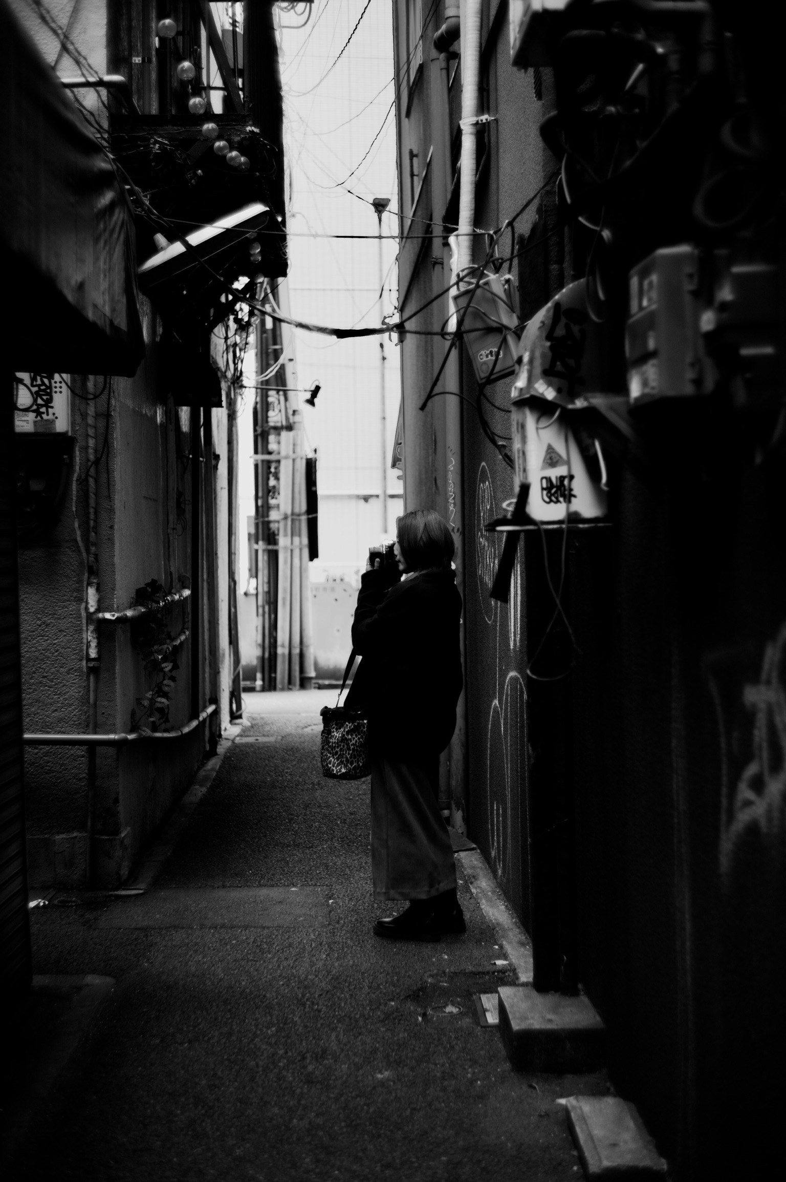 photo-wR5N8gH8Vghse9ijf5bo-image