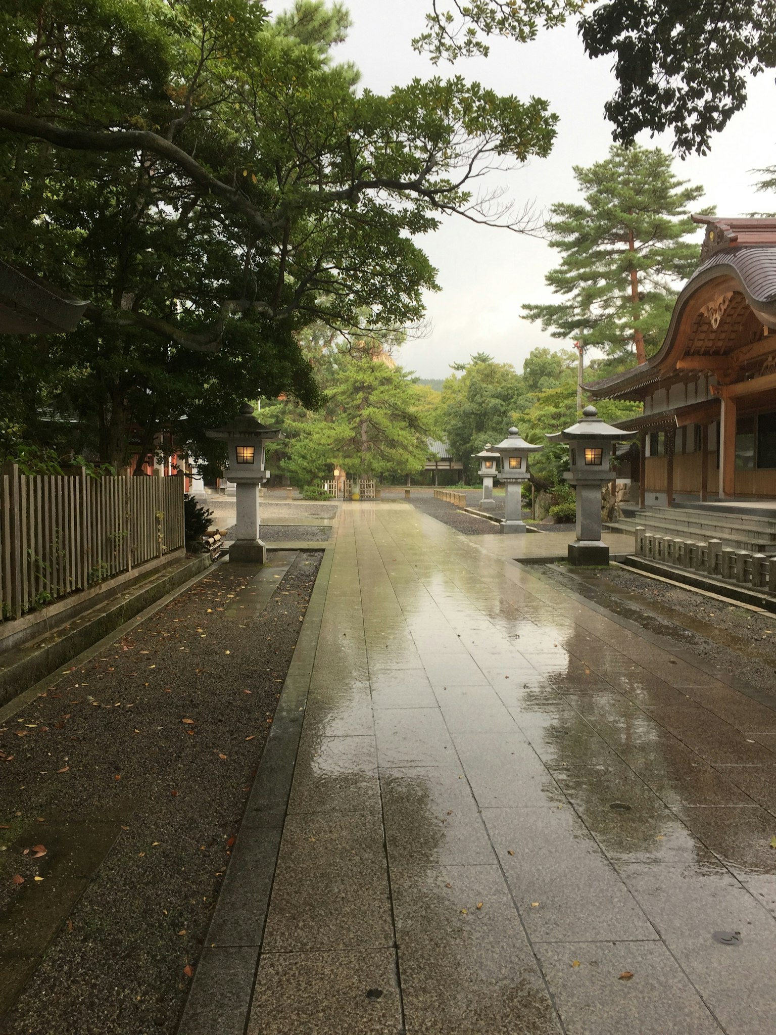 ทางเดินหินเปียกน้ำฝนล้อมรอบด้วยต้นไม้เขียวขจี