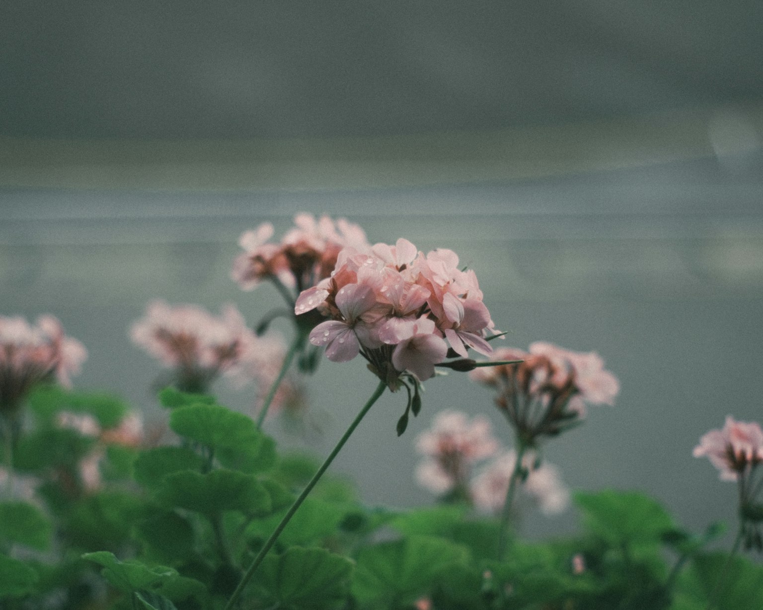 photo-wSafgU603YuexAYwRzdr-image