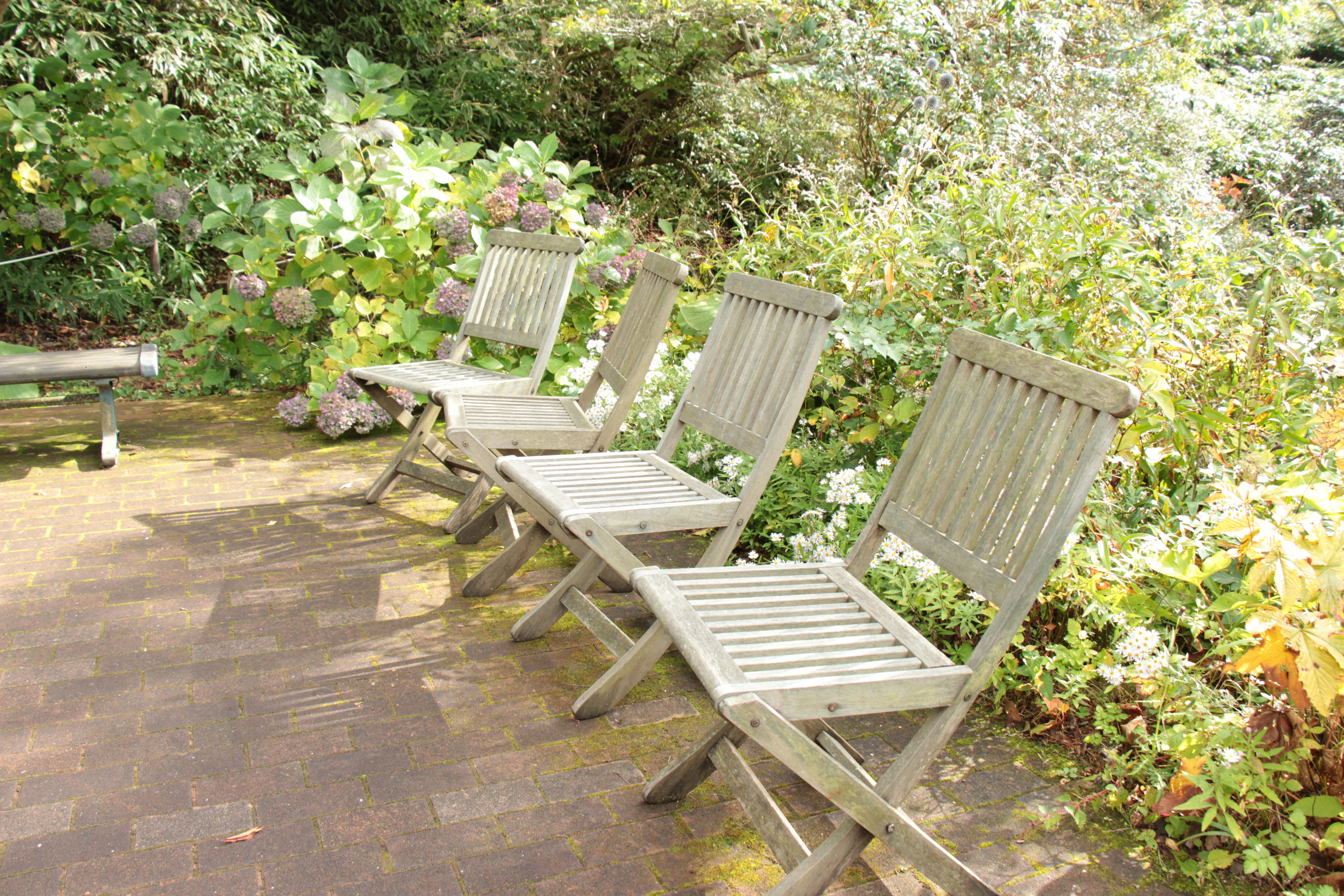 Terrazza con sedie da giardino in legno allineate vicino alle aiuole fiorite