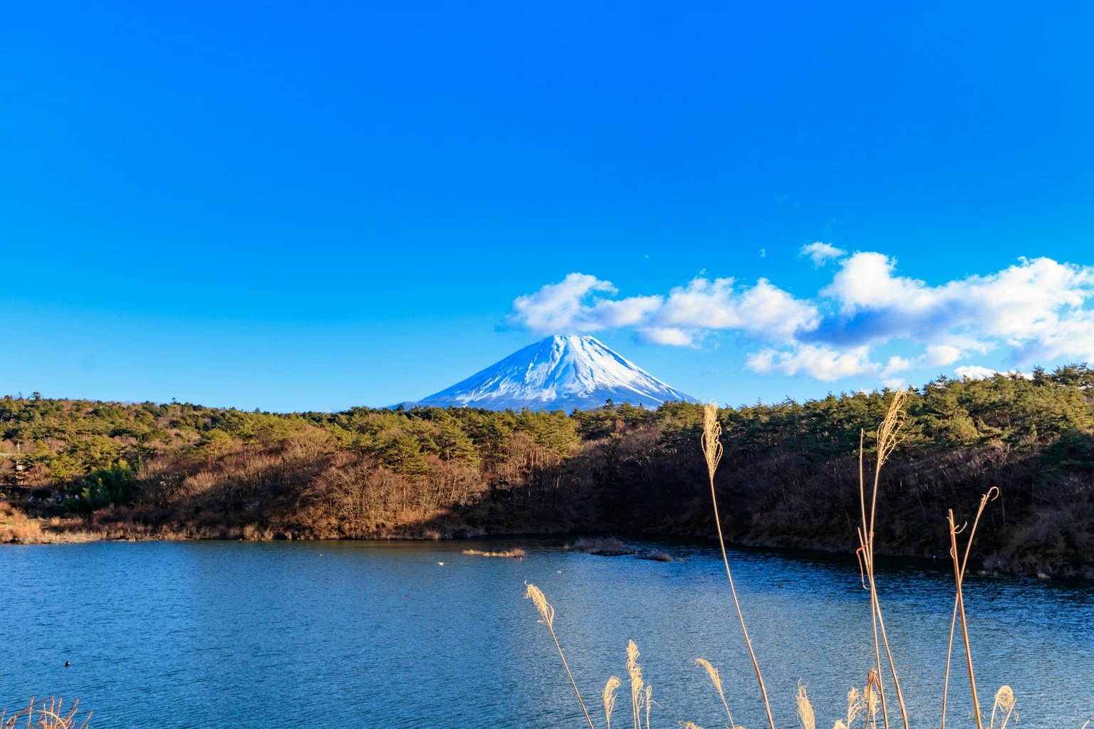 Vista escénica del Monte Fuji con nieve en la cima bajo un cielo azul claro y un lago tranquilo