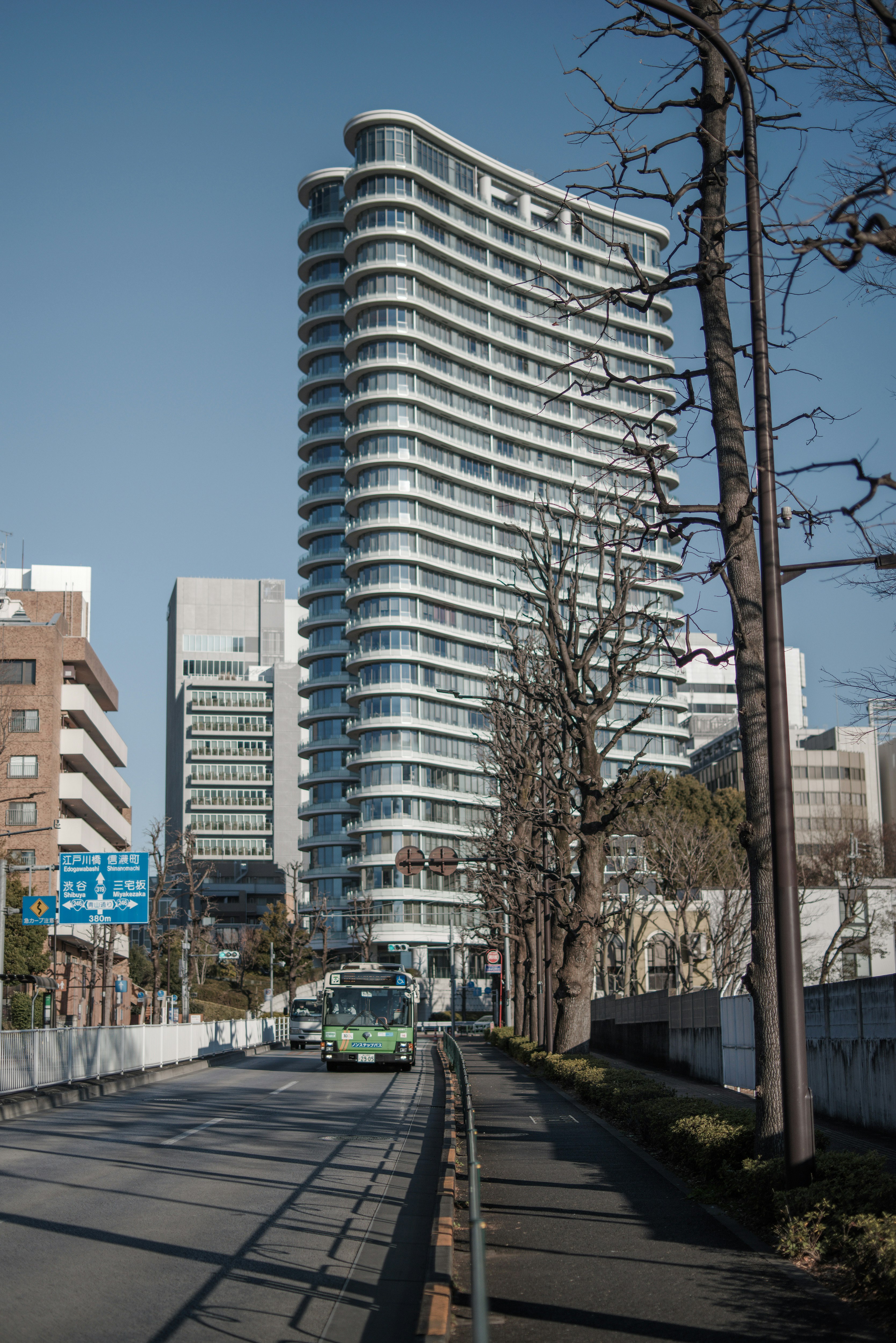 都心の並木道を走る路線バスと高層マンション群