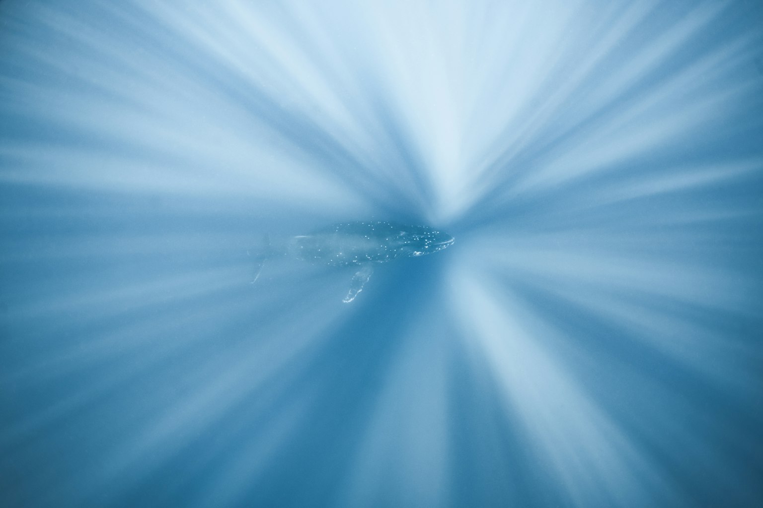 A surreal underwater scene with rays of light spreading through blue water