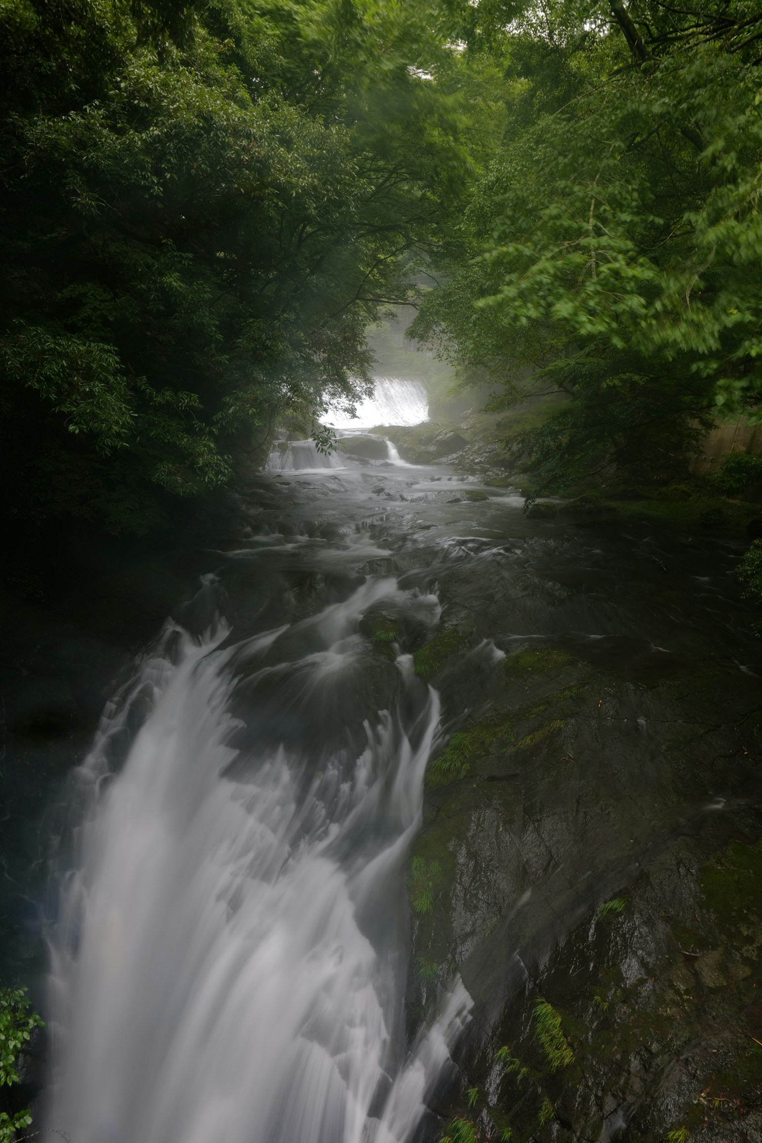 A waterfall flowing through lush greenery with mist