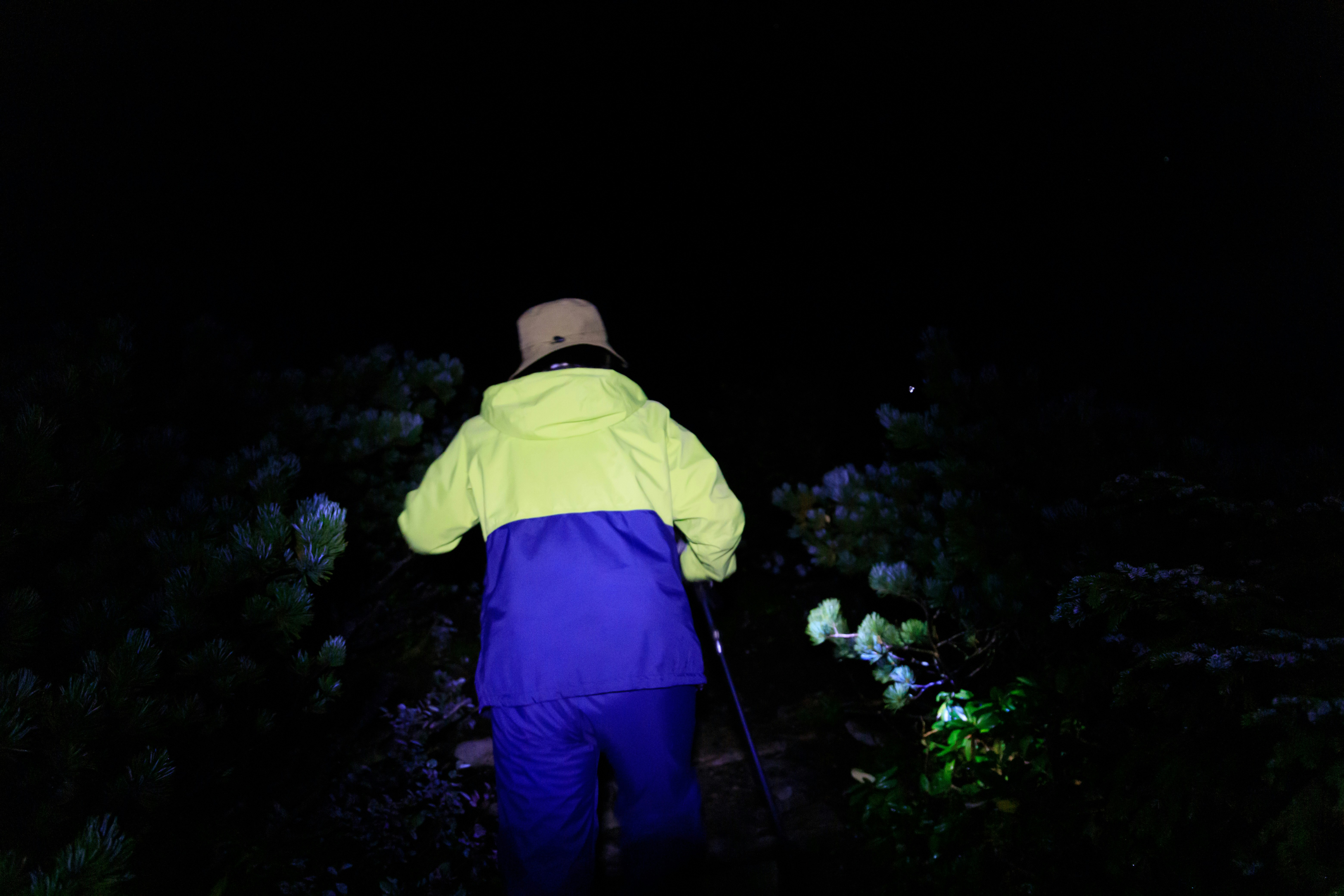 夜晚在田地里劳作的人的背影
