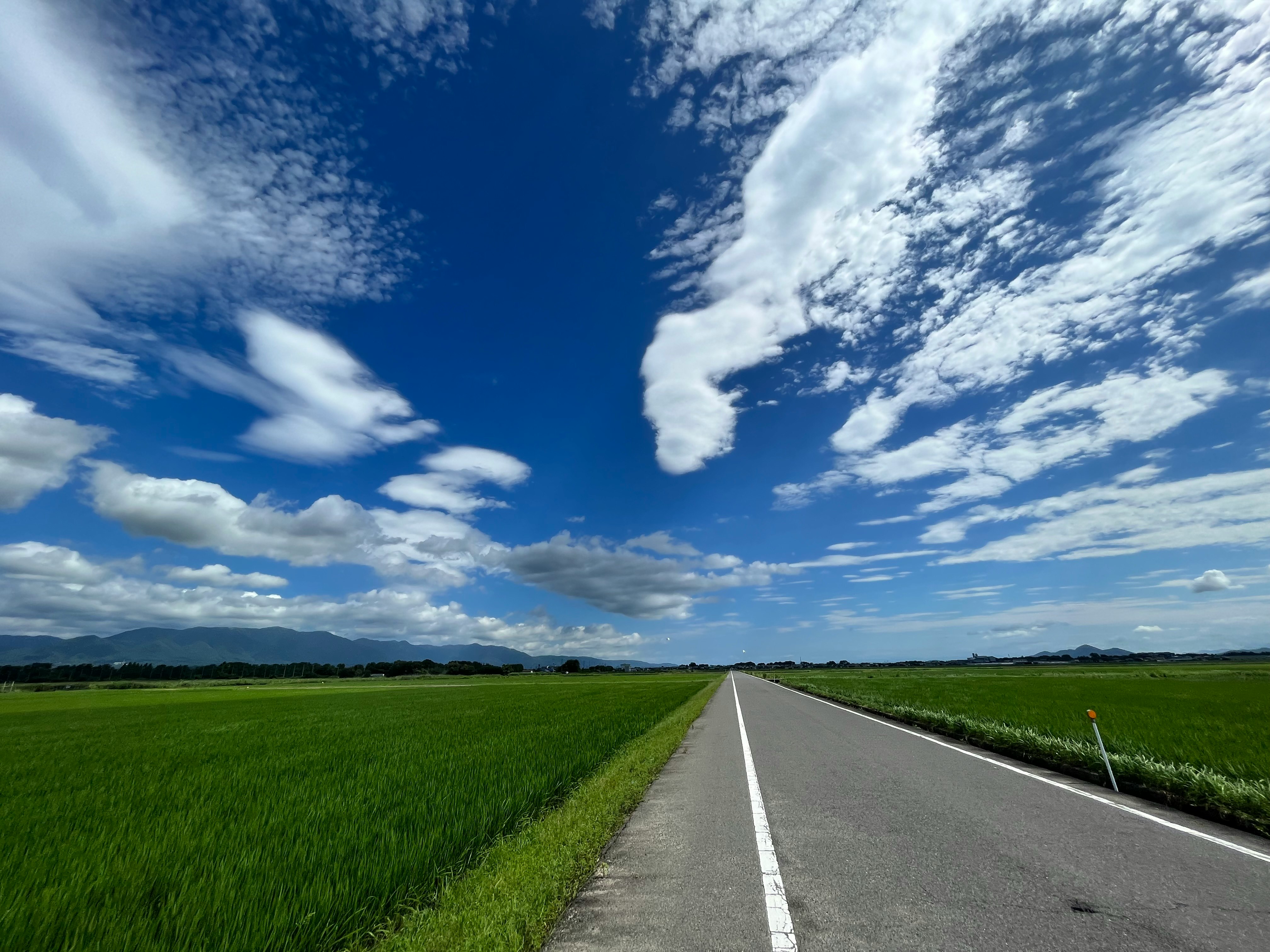 夏の青空と雲が広がるまっすぐな道の風景