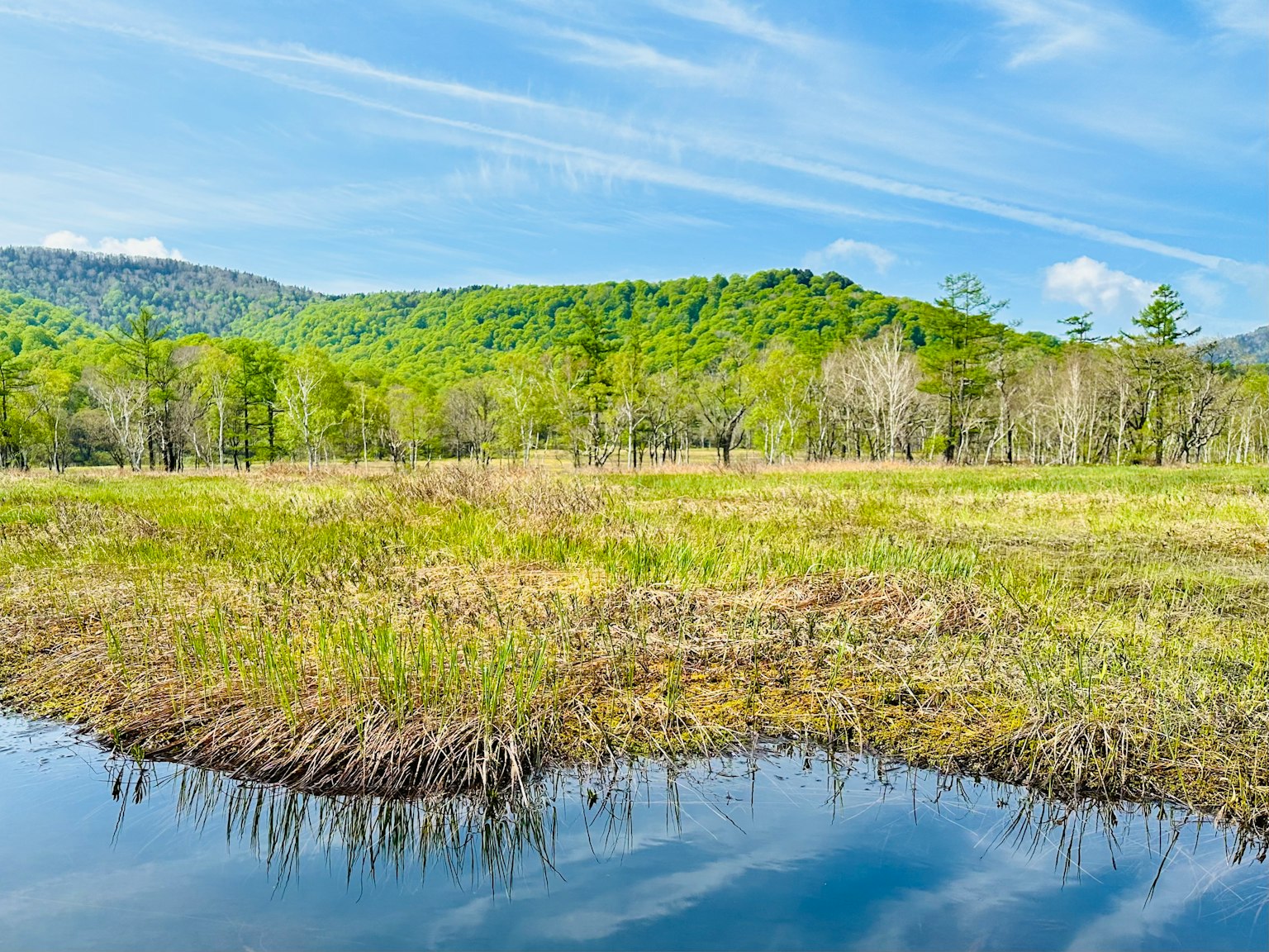 Lush green hills and calm water surface in a wetland landscape