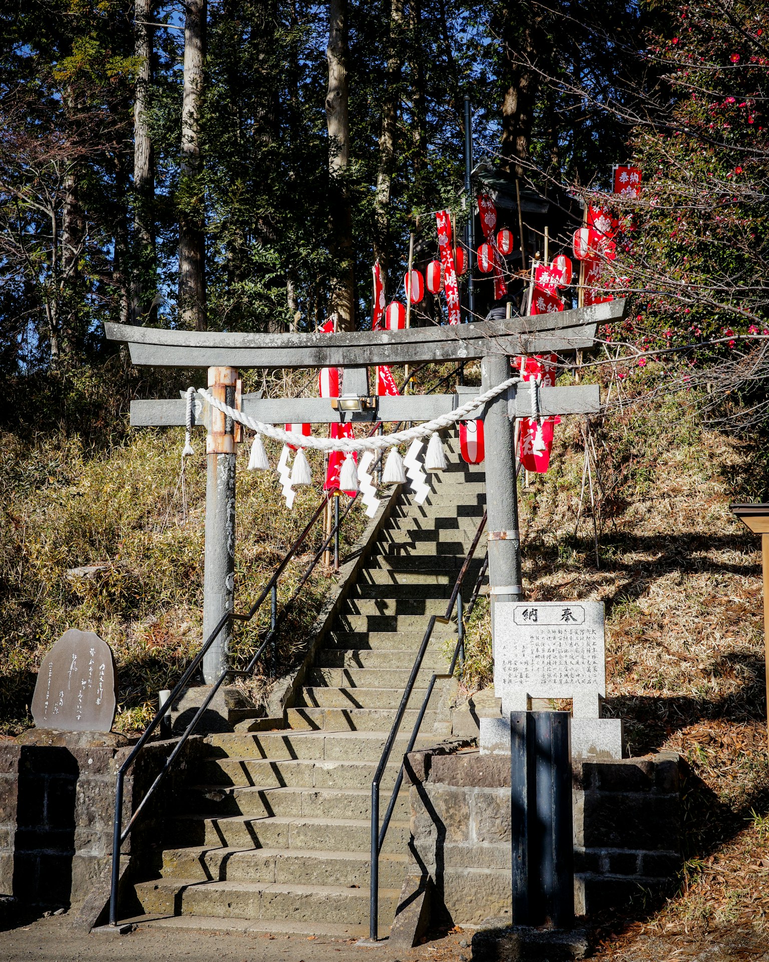 Portale torii decorato di rosso che conduce a scale in pietra circondate dalla natura