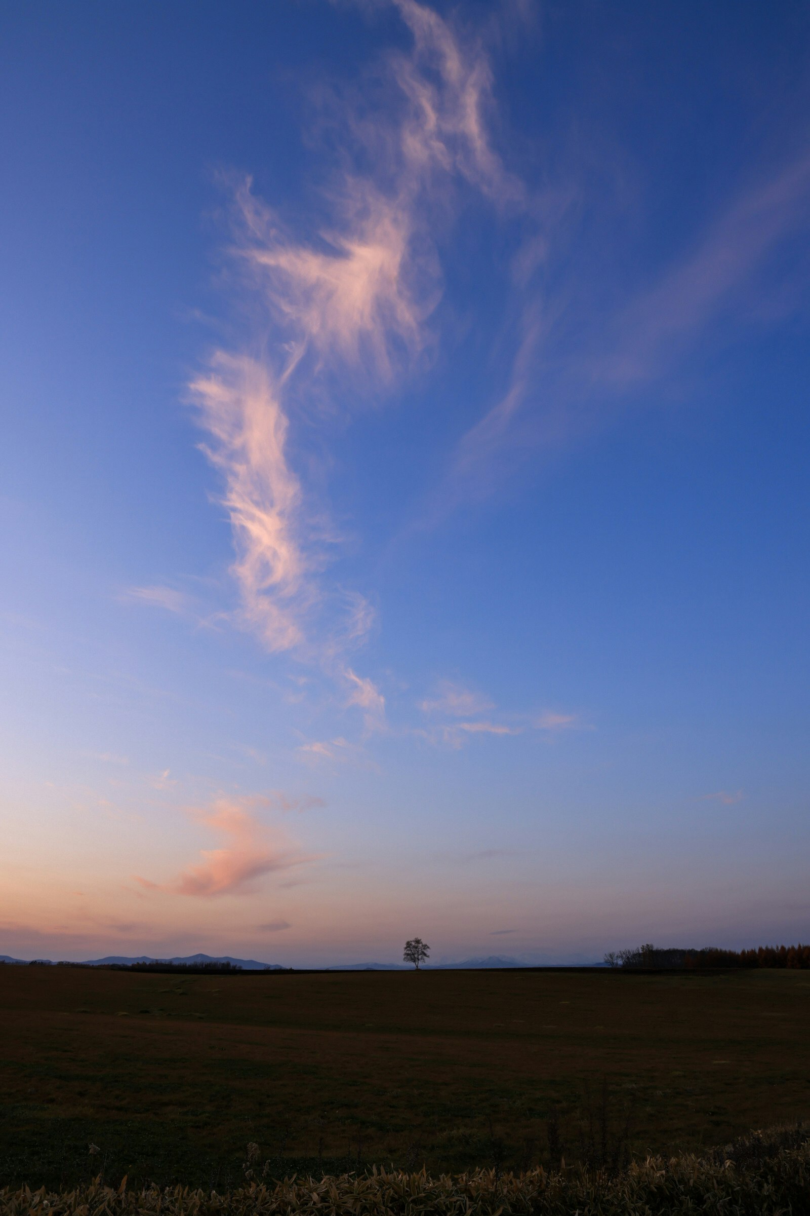 秋色の空に広がる夕焼けの草原
