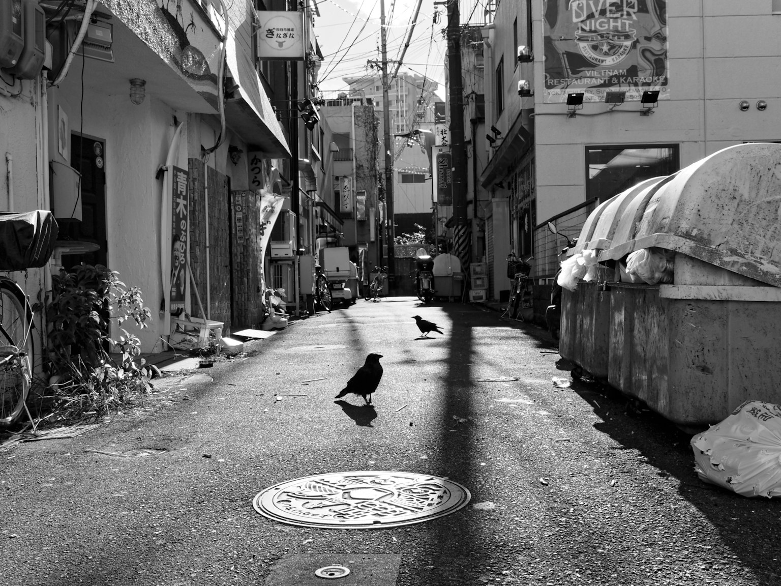 Black and white photo of a narrow alley with a black bird