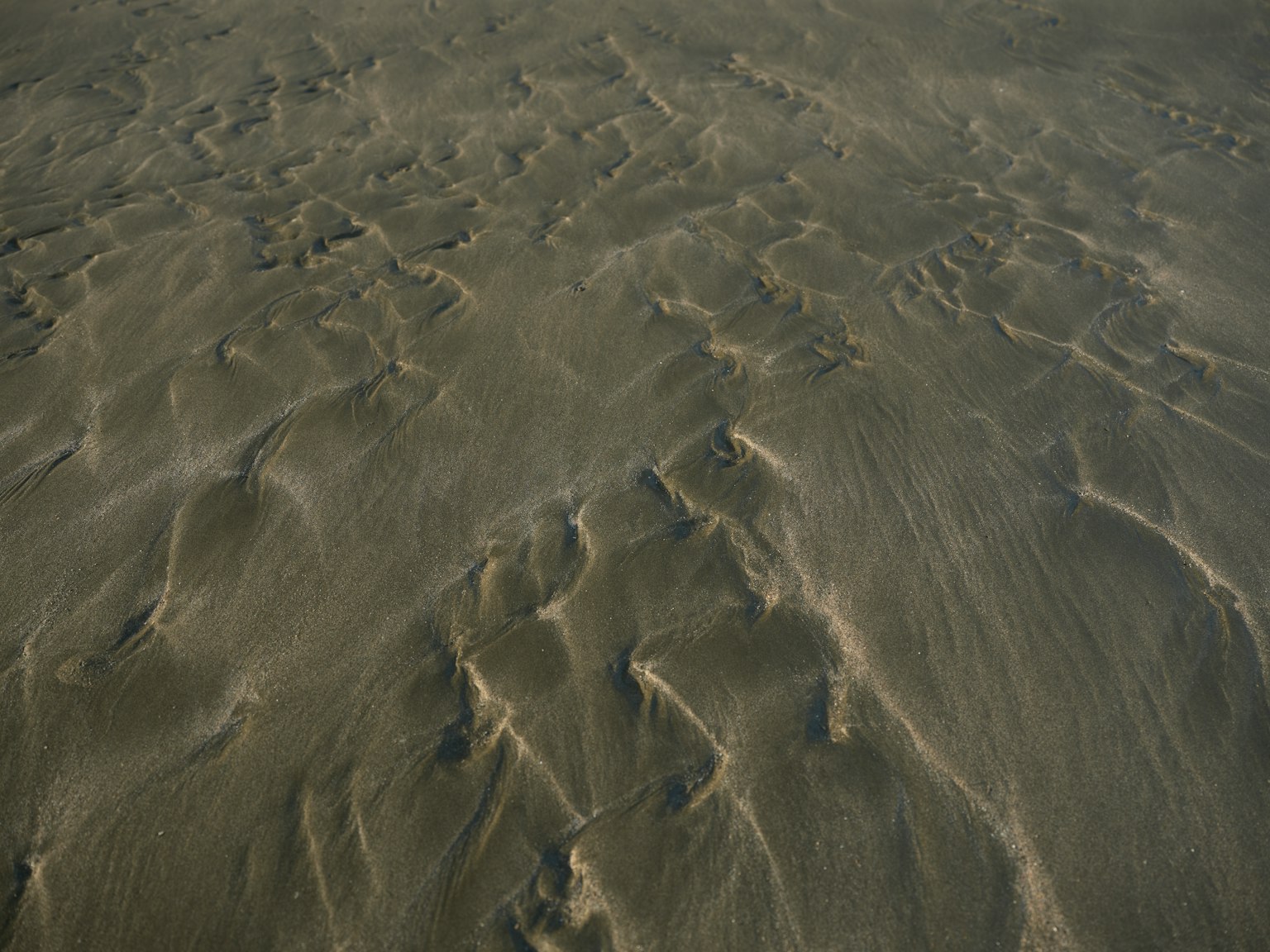 ทิวทัศน์ชายหาดที่แสดงลวดลายบนทราย