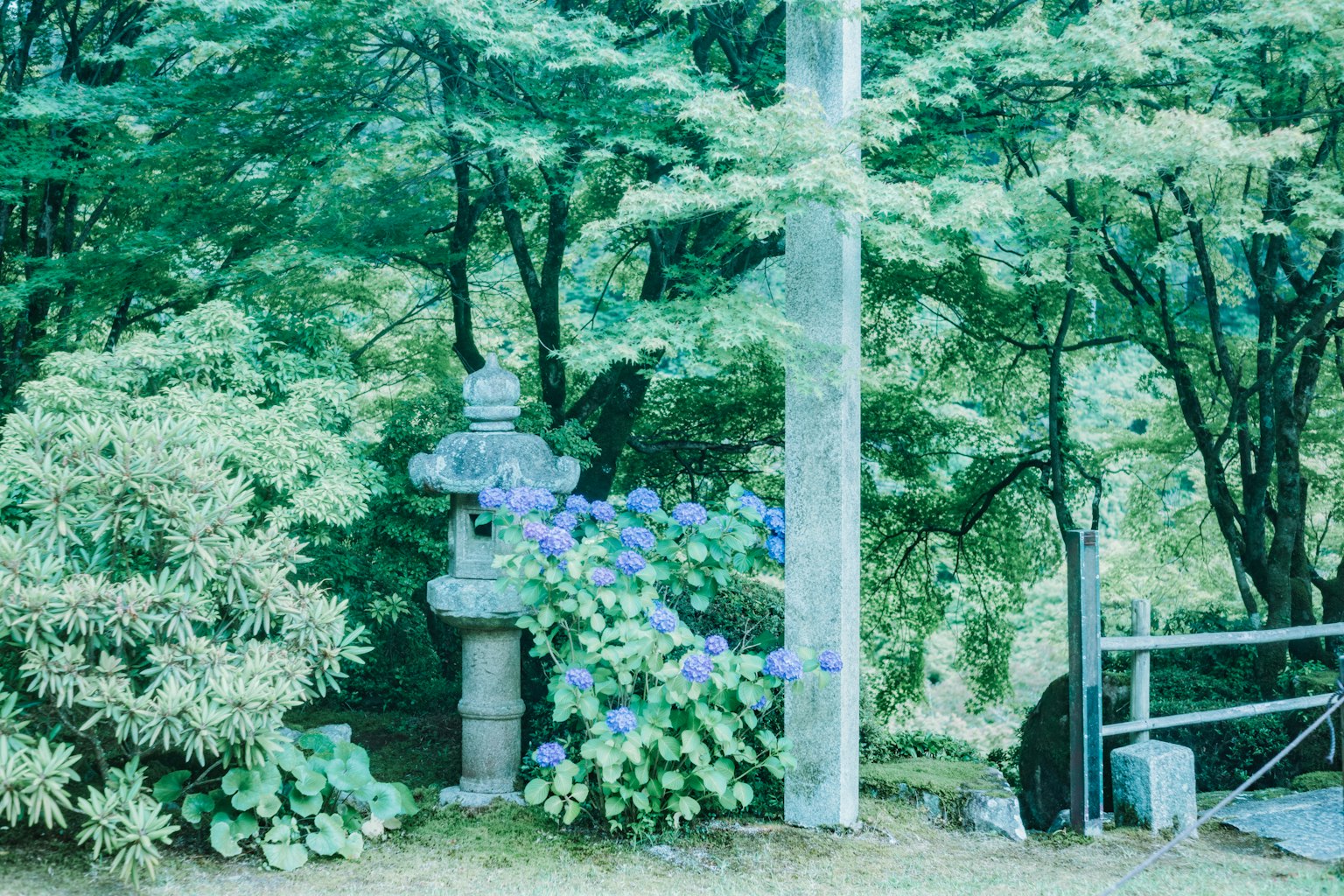 Stone lantern surrounded by lush greenery and hydrangea flowers