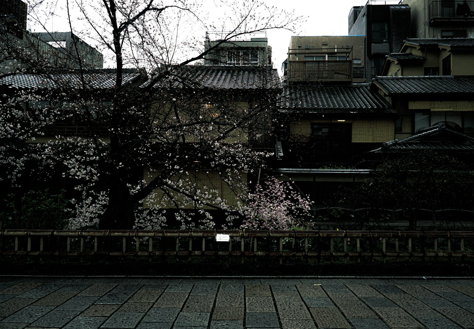 Scenic view featuring a cherry blossom tree and traditional buildings