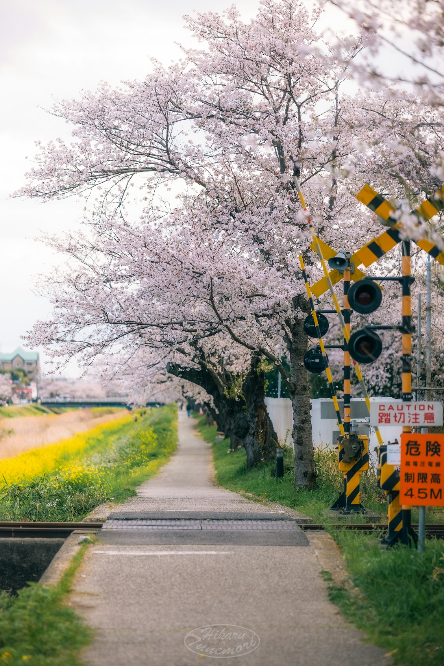 photo-wXKT5PjVWMdL5CSUISlM-image