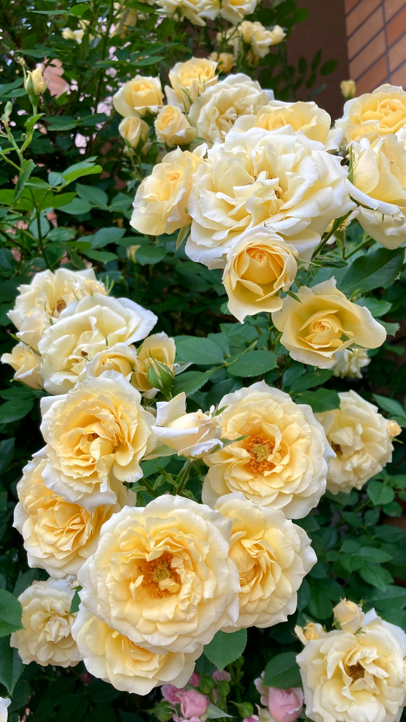 photo-wXQrMlDJpsDSMQ2HqINj-image