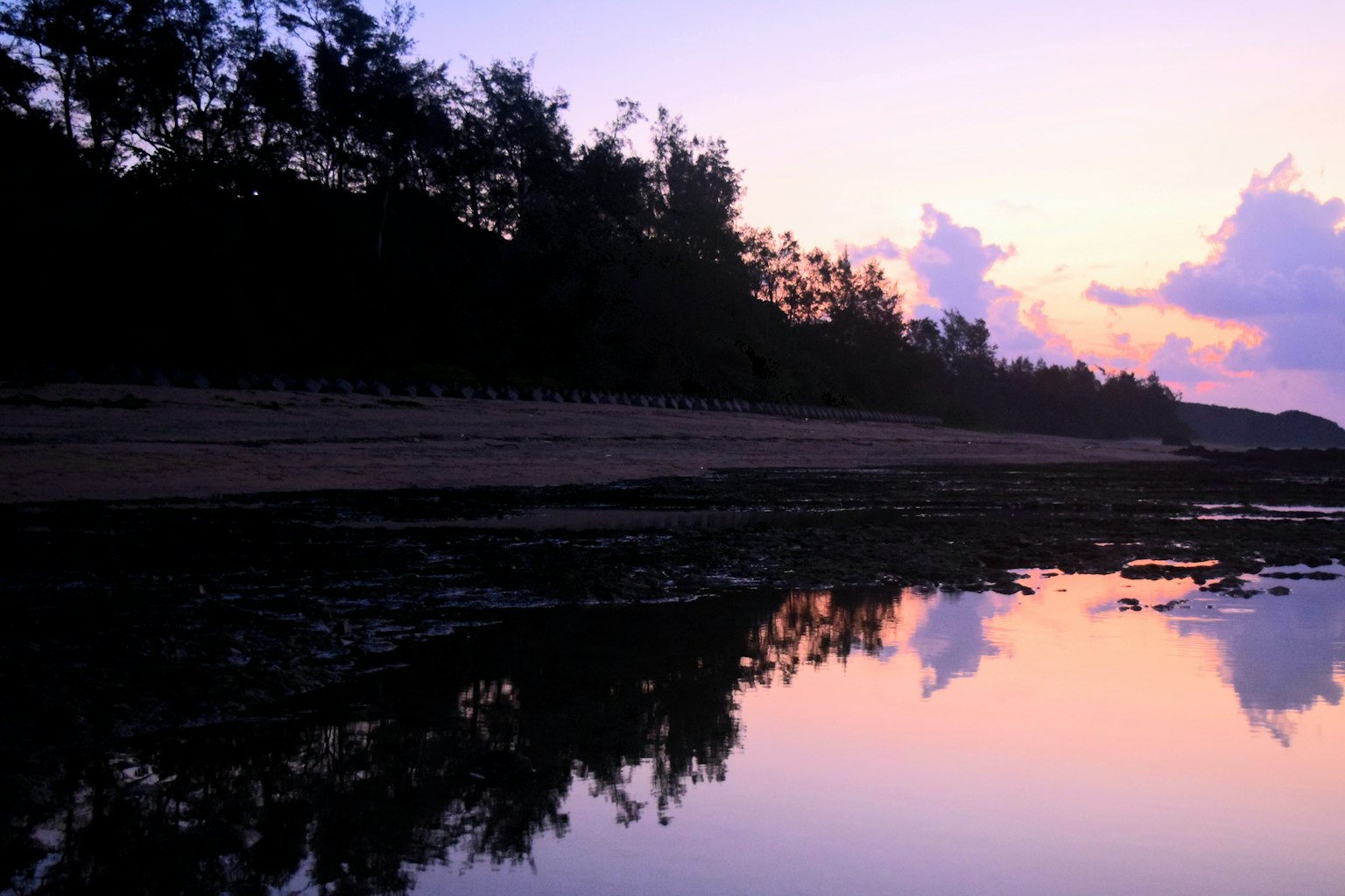 Khung cảnh bờ biển lúc hoàng hôn với bóng cây phản chiếu