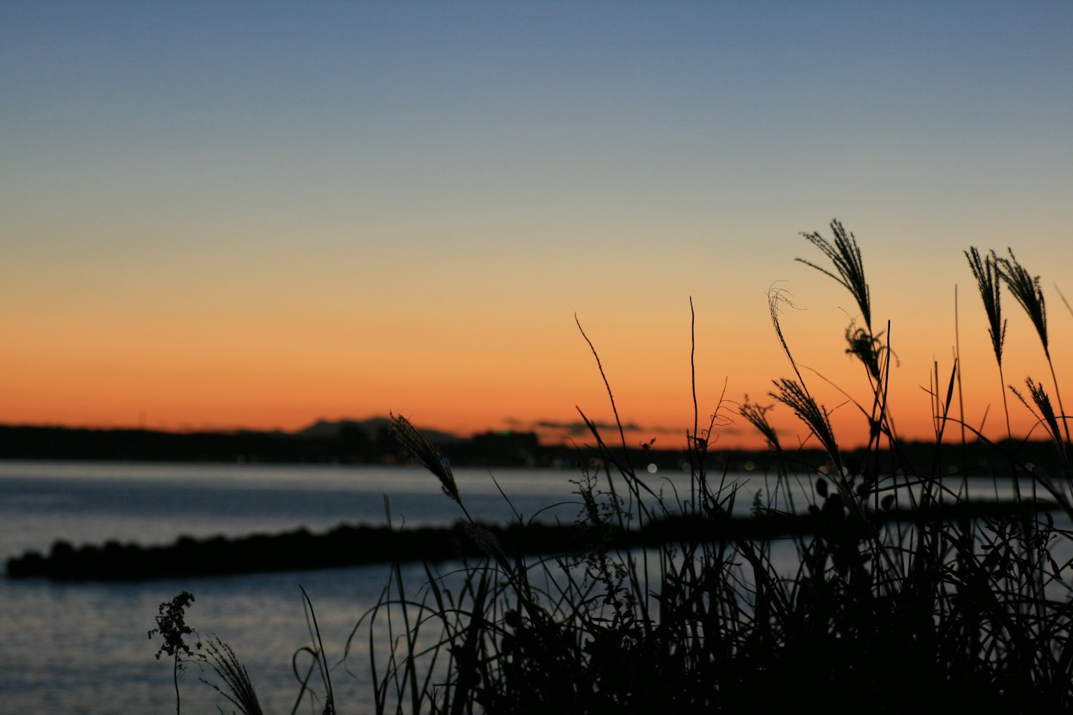 เงาของหญ้ากับผิวน้ำที่เงียบสงบและท้องฟ้ายามพระอาทิตย์ตก