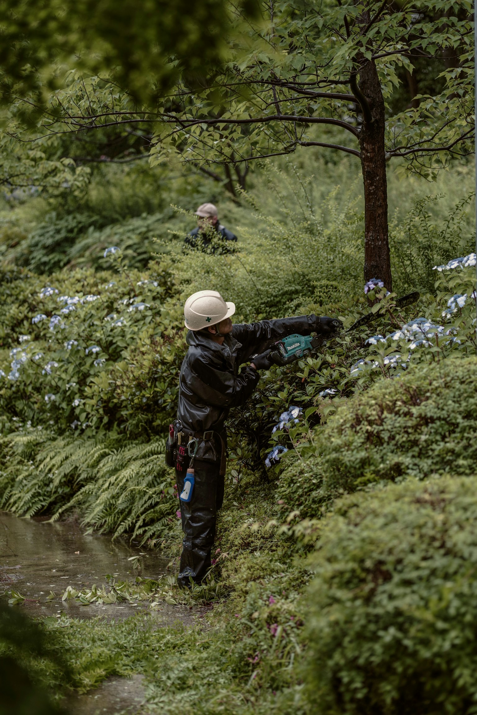 photo-wYpDWRC01W19Y7NcPpYq-image