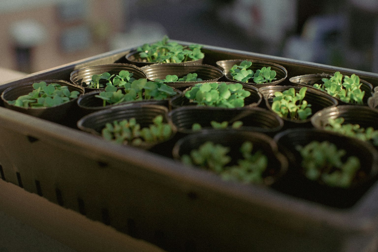 photo-wZHScDpyX7ybjofdSv8q-image