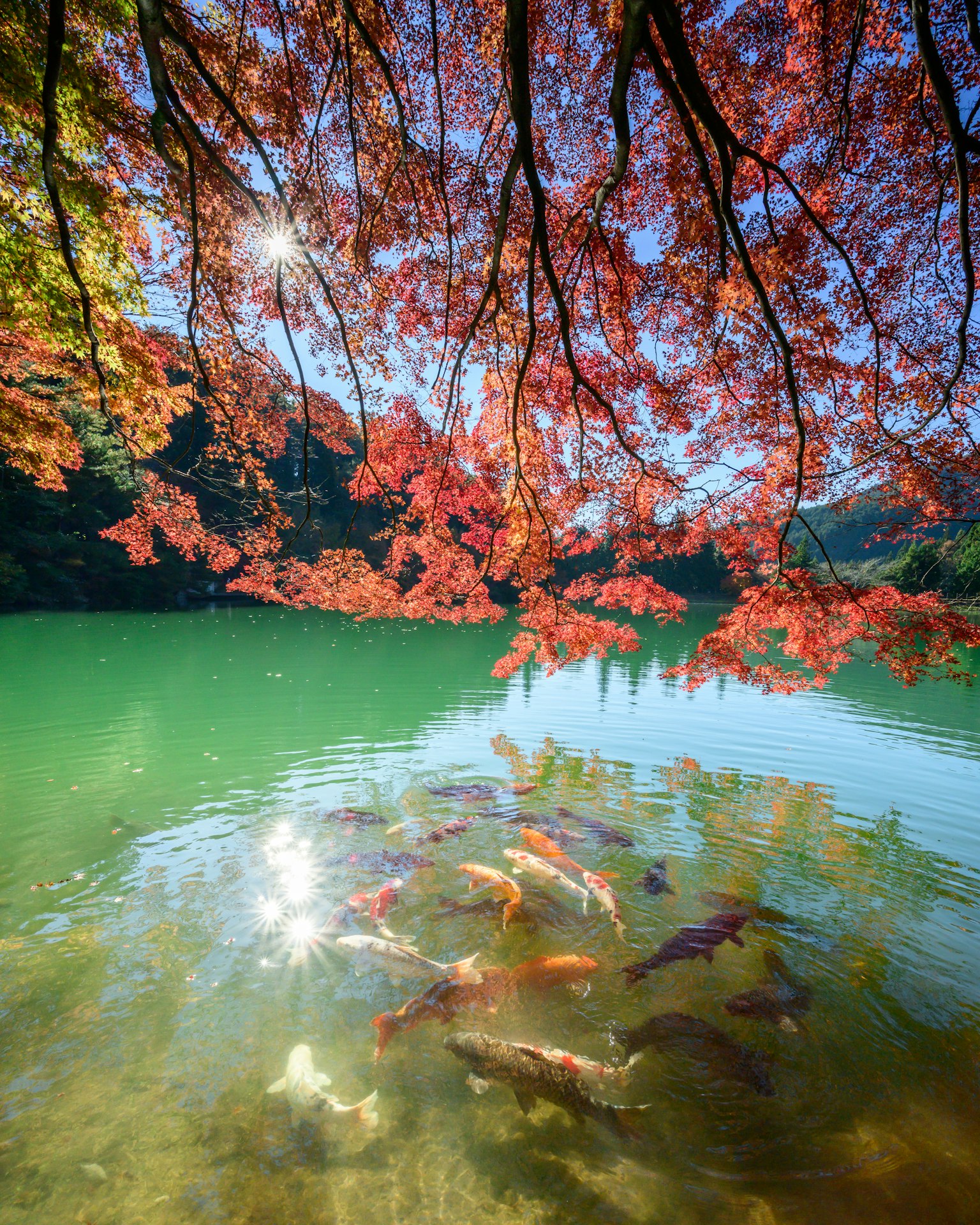 photo-wZLZjccAB5s5Q7brrO6c-image