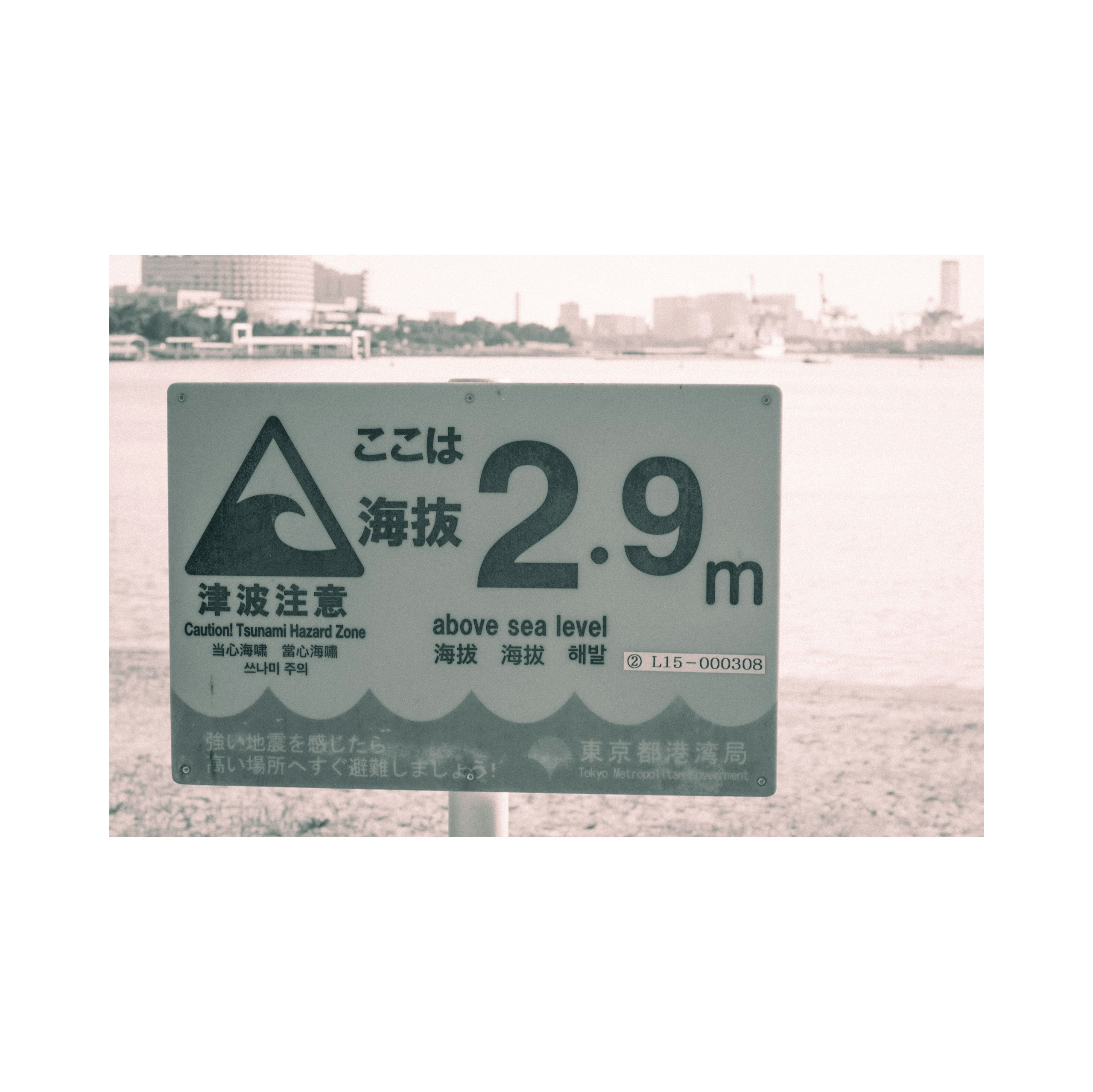 海抜2.9mの注意標識がある海辺の風景