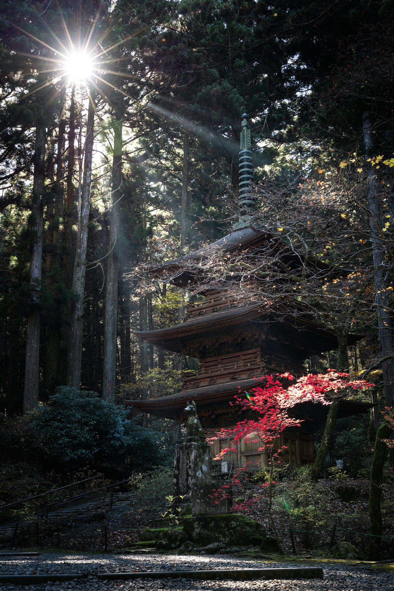 Una pagoda antica circondata da alberi con la luce del sole che filtra e foglie autunnali vivaci