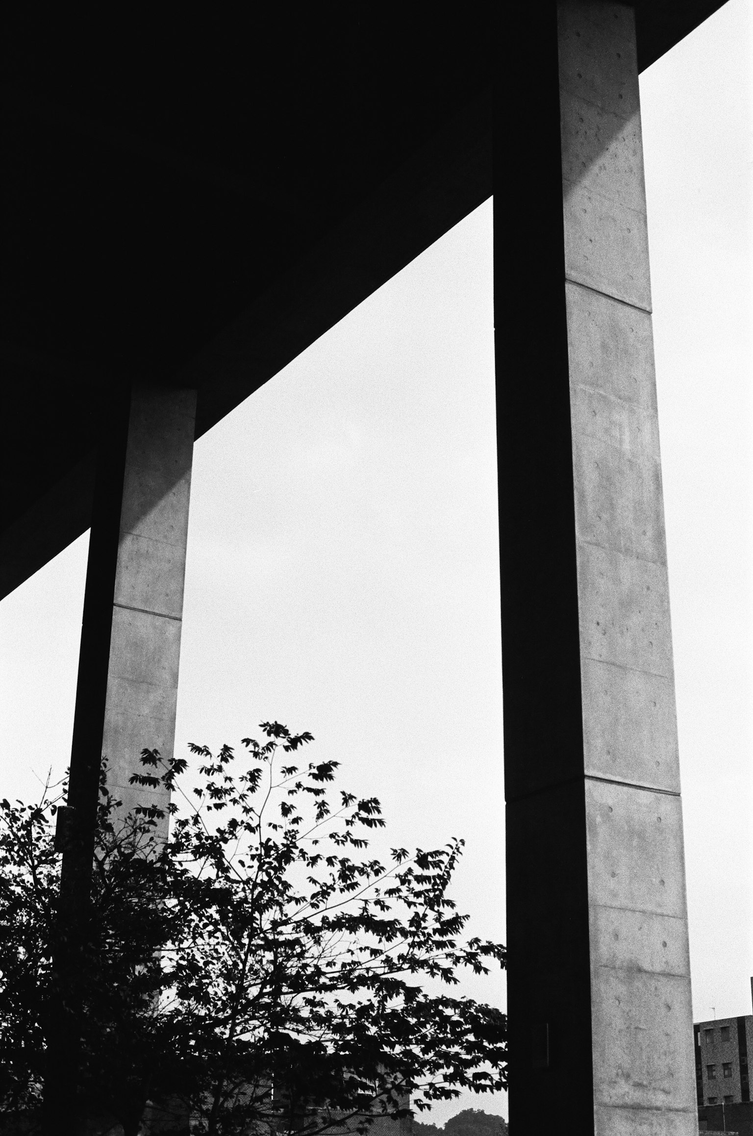 Schwarzweißbild mit Betonsäulen und Baumsilhouetten