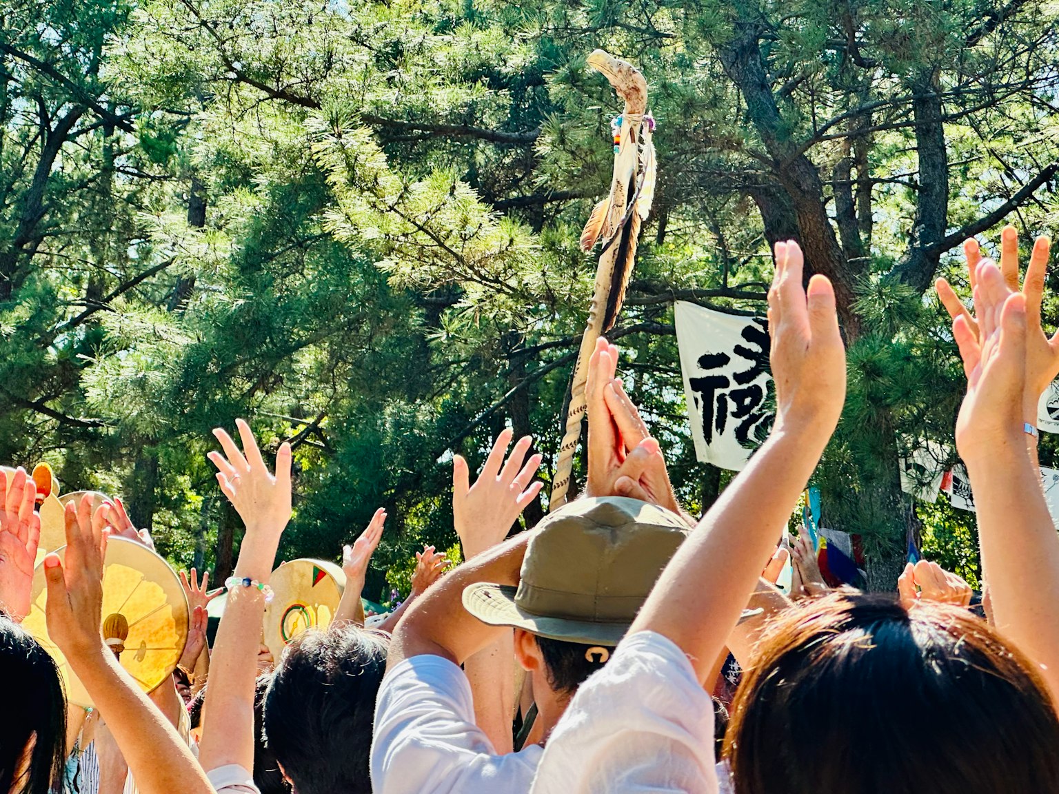 Personas levantando las manos entre los árboles con un símbolo de festival