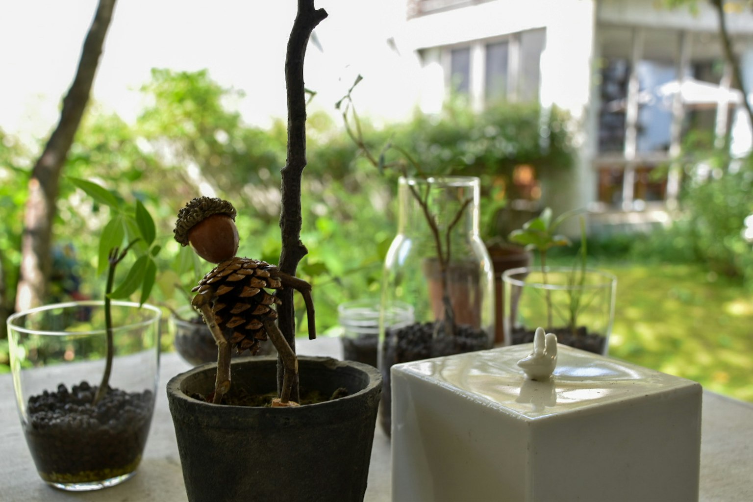 Una escena en el alféizar de una ventana con plantas y una pequeña figura rodeada de recipientes de vidrio y macetas con un fondo verde