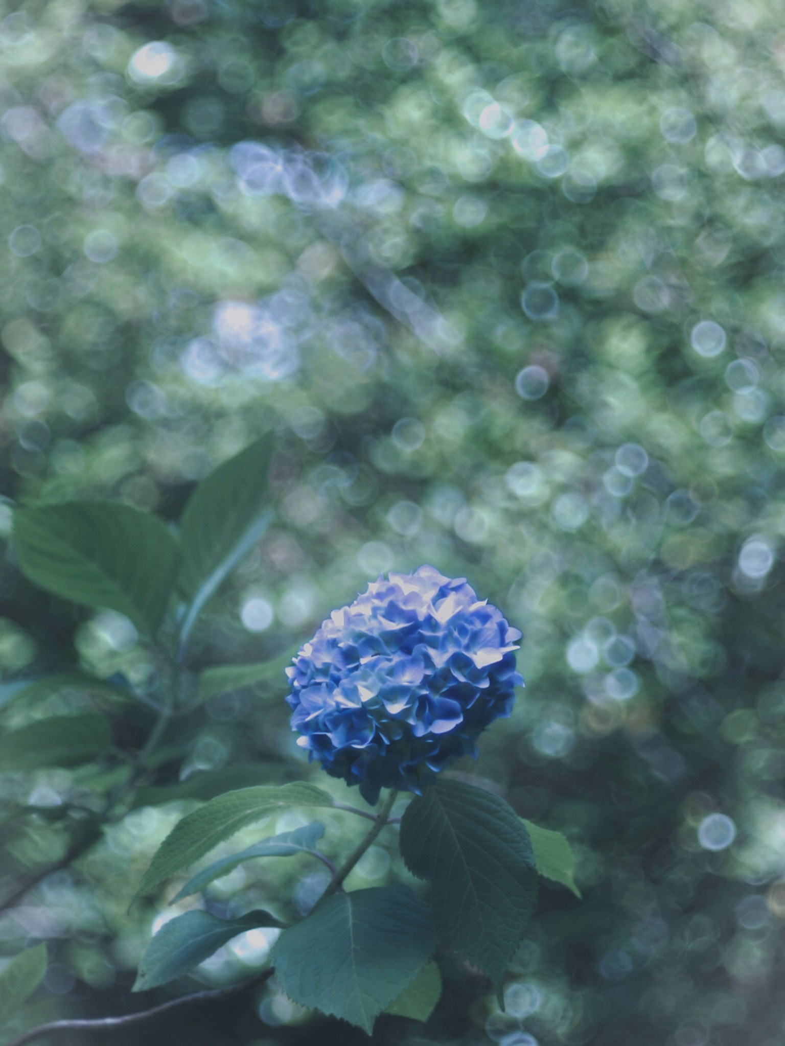 photo-walfx3xkDR40YPf6foYy-image