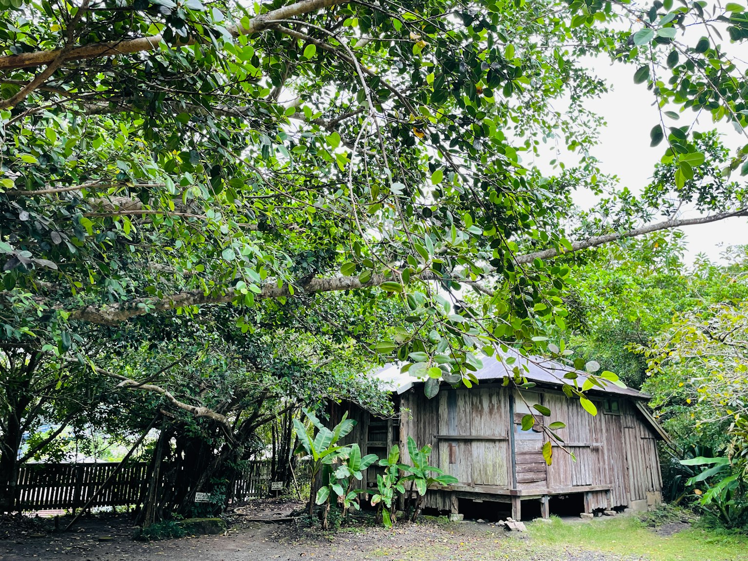 บ้านไม้ที่อยู่ท่ามกลางต้นไม้เขียวชอุ่ม