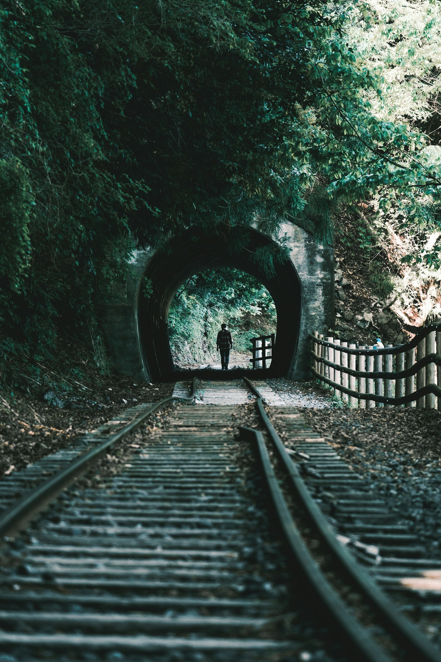 คนเดินอยู่บนรางรถไฟผ่านอุโมงค์สีเขียว
