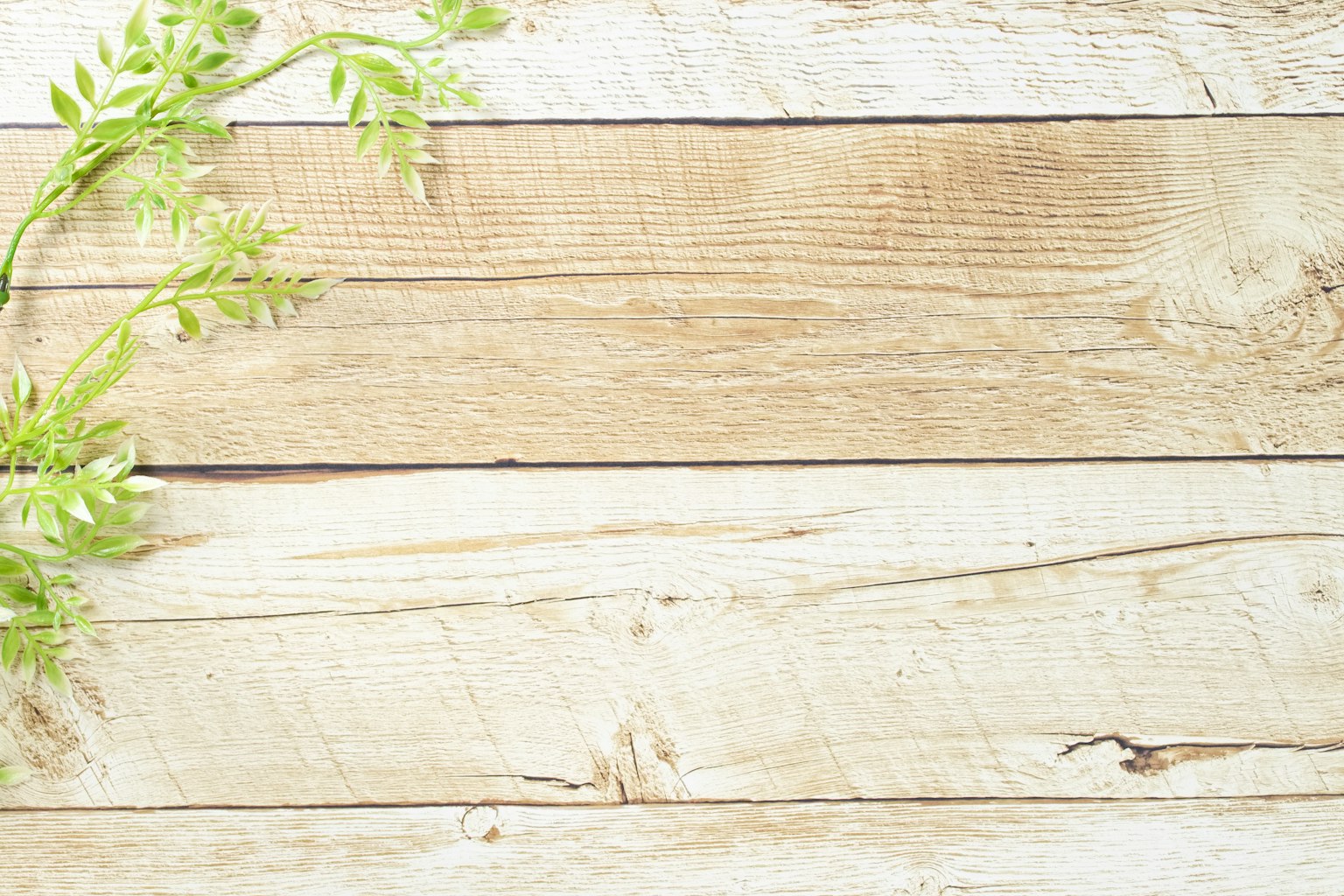 Simple image featuring green leaves on a wooden background