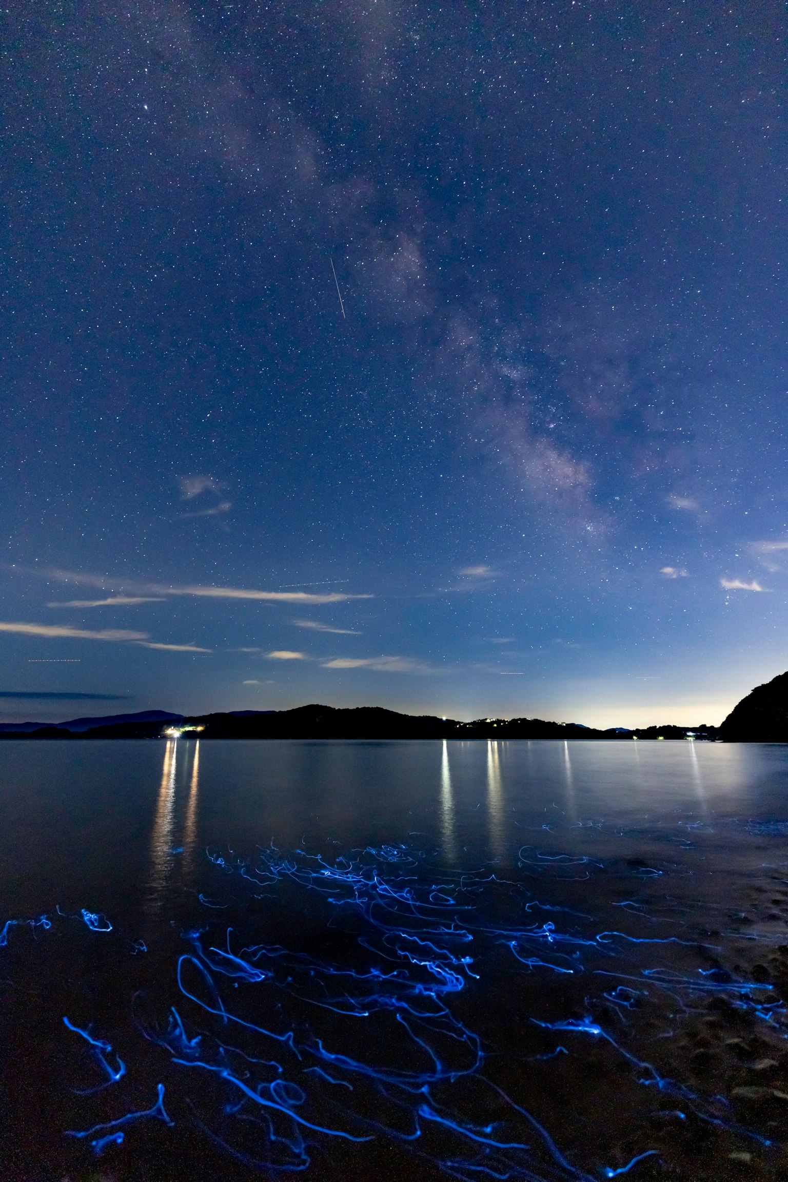 ทิวทัศน์ที่น่าหลงใหลที่มีชีวิตทางทะเลเรืองแสงสีฟ้าใต้ท้องฟ้าที่เต็มไปด้วยดาว